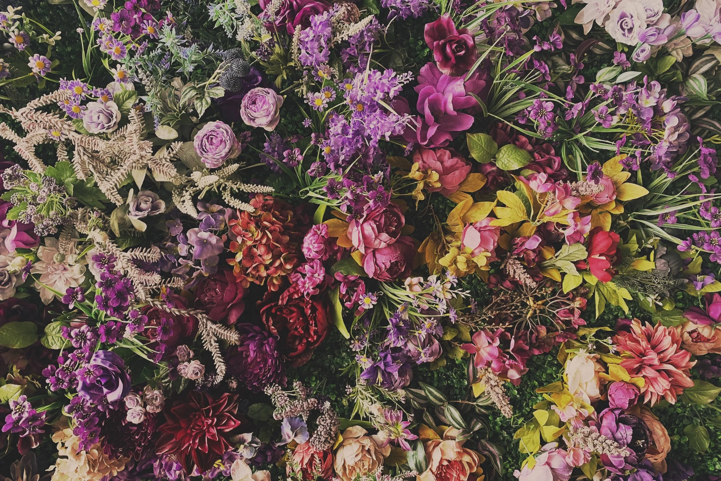 A field of wildflowers in full bloom, a mix of vivid colors under soft natural light