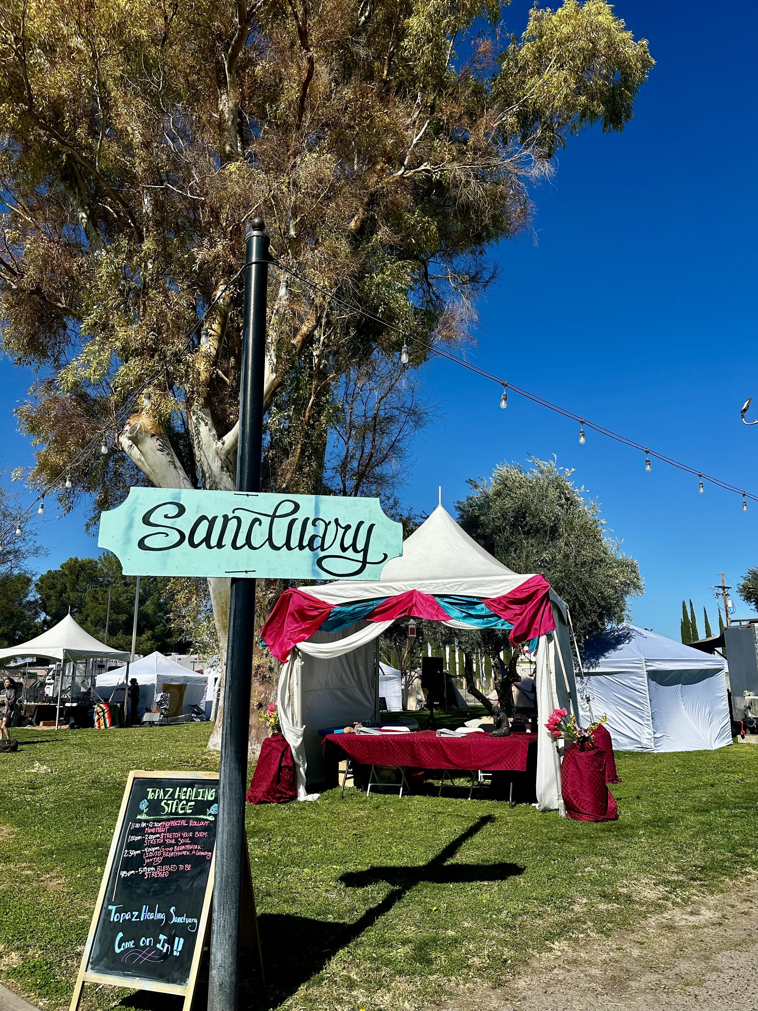 Open-air healing sanctuary tent set beneath a large tree at an outdoor festival, with treatment tables and soft fabrics creating a peaceful wellness space.