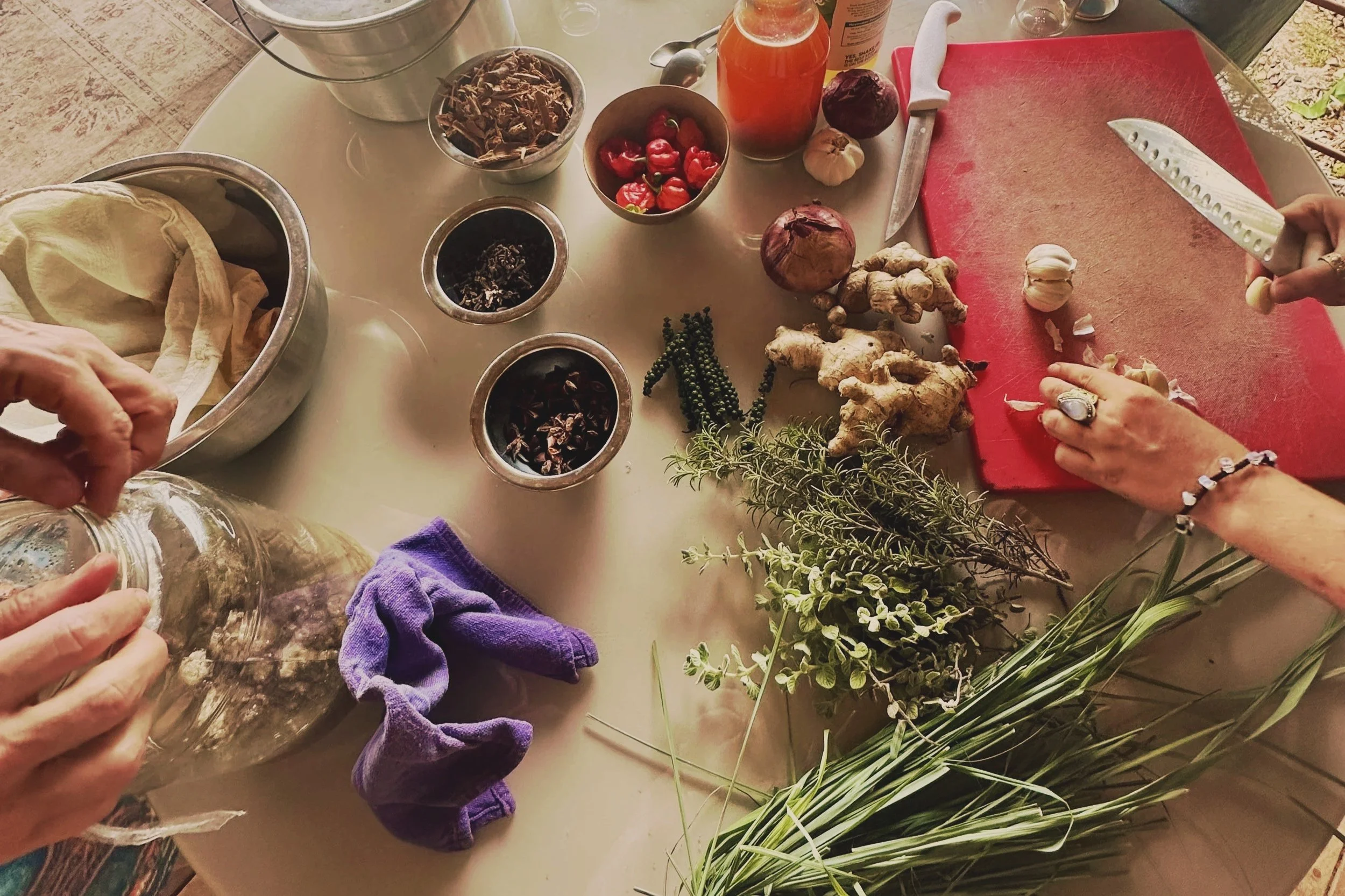 Overhead view of women preparing herbal medicine with fresh plants, roots, and botanicals during a Costa Rica herbalism apprenticeship