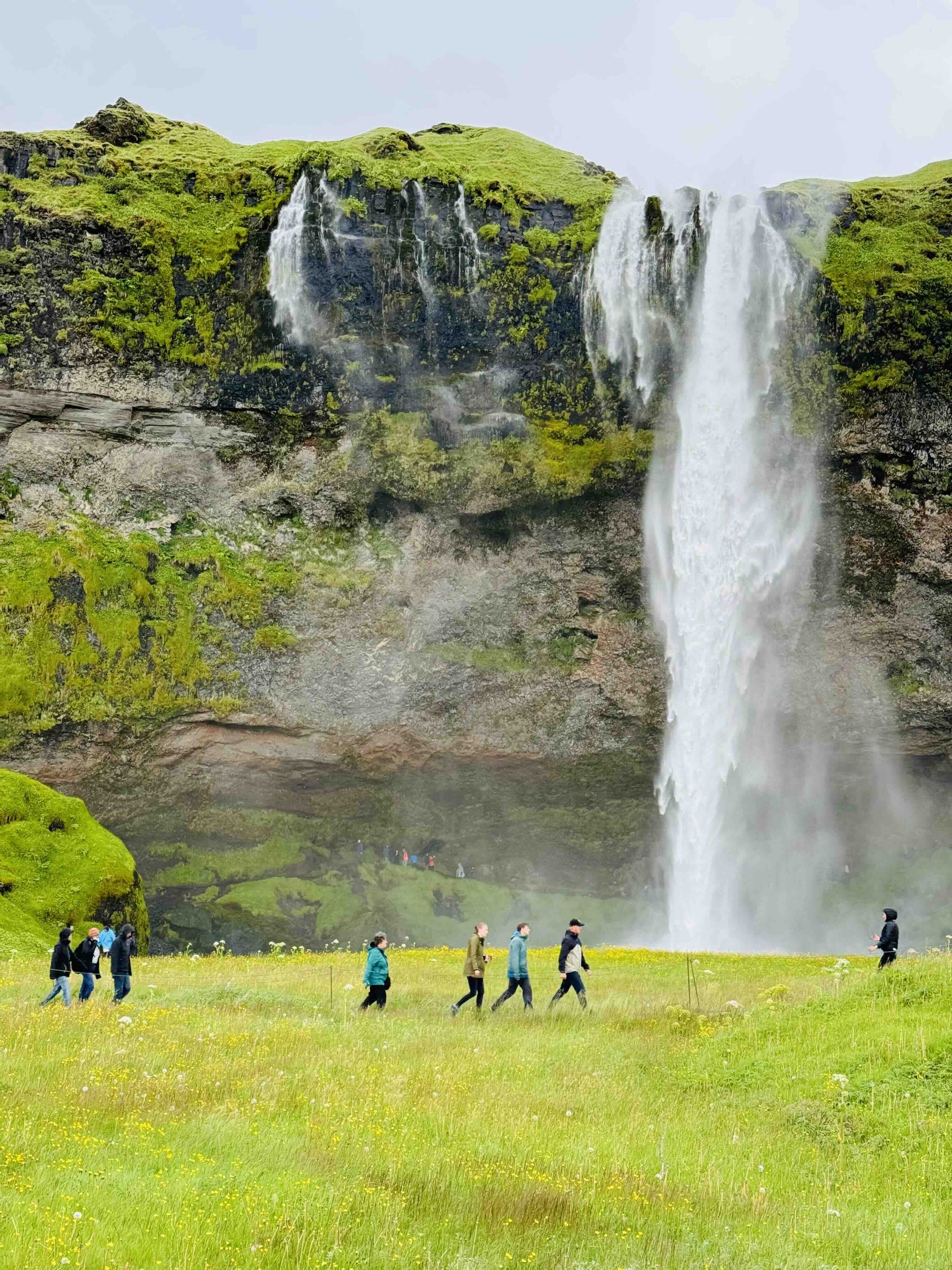 Land Snorkeling: A Surprising Self-Care Practice for You & Other Counselors