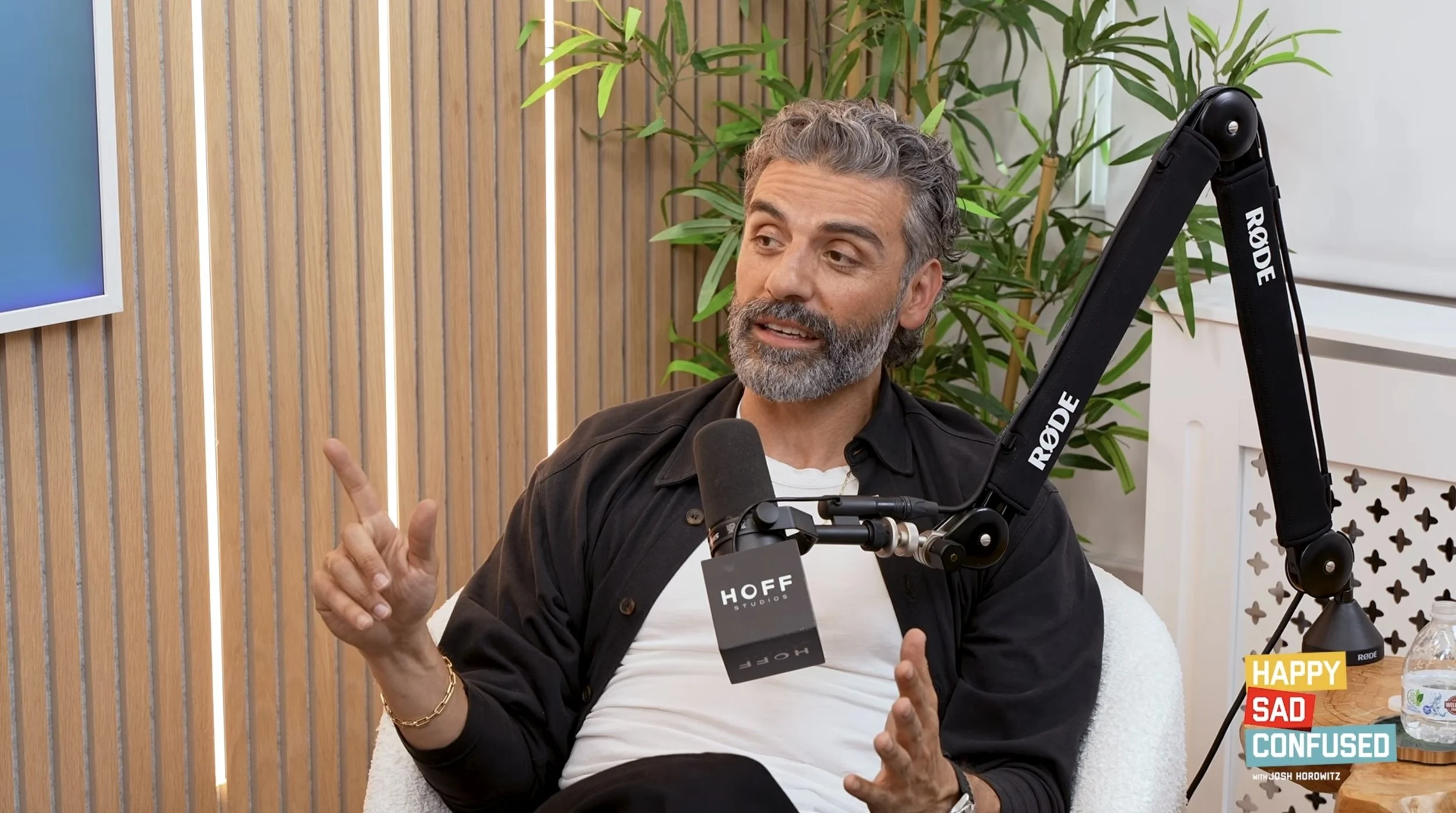 A man with short, wavy hair smiling during a podcast recording, seated in front of a microphone labeled 'HOFF Studios' with a 'RODE' microphone arm, in a room with a wooden wall, green plants, and a blue screen.
