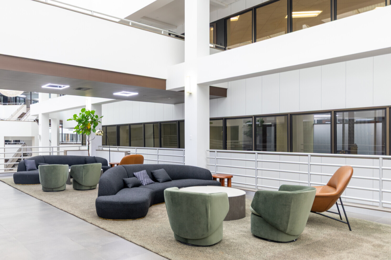 Modern office lounge area with gray sofas, green and brown chairs, beige carpet, white walls, large windows, and potted plant.