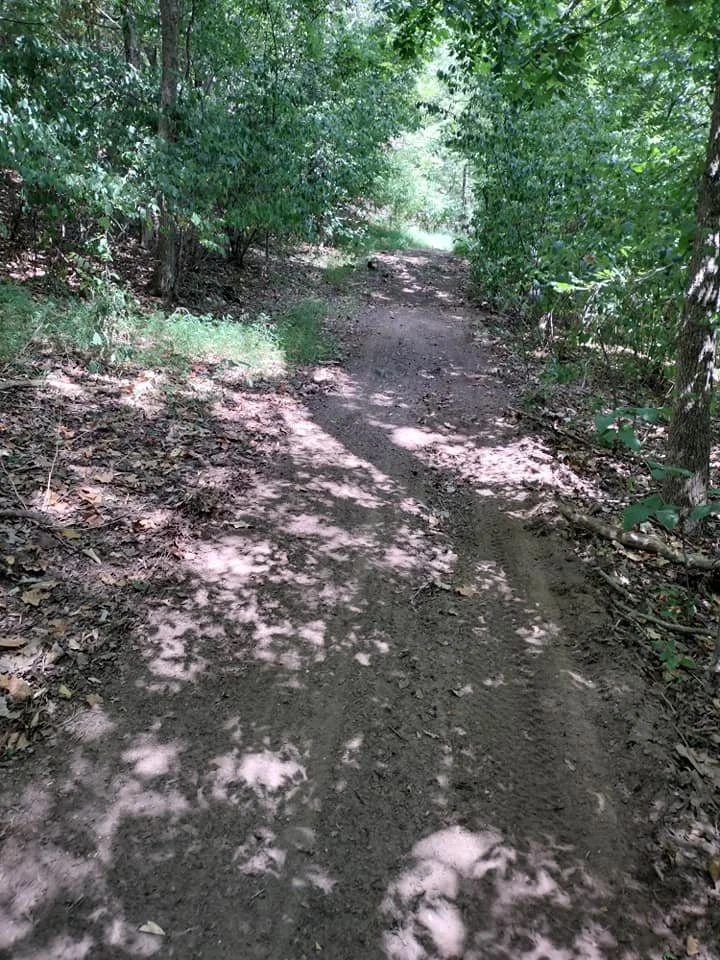 Trail clearing, trail creating, nature trail, trail cleanup