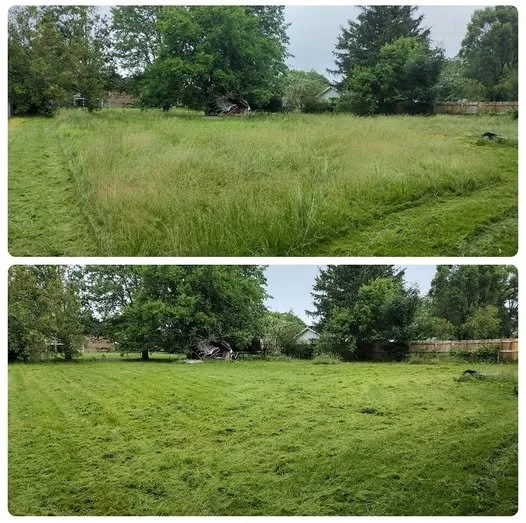 brush removal. brush cutting, land management, reclaim land