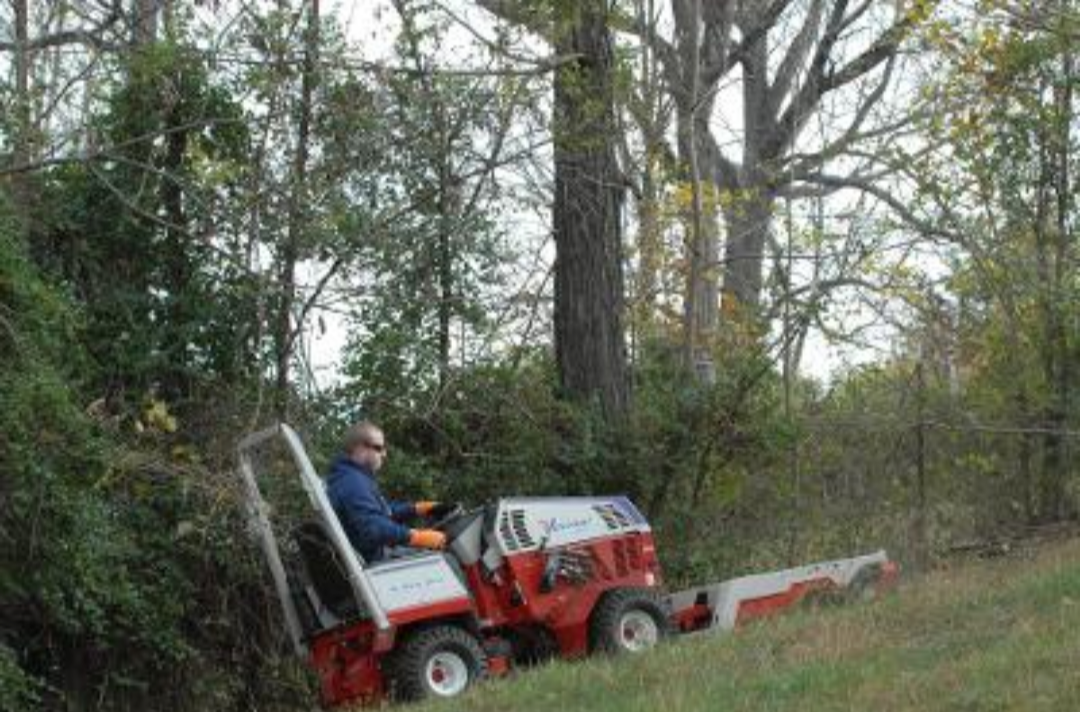 hill mowing, hillside mowing, steep mowing, inclined mowing, steep brush cutting, hillside brushcutting, overgrowth removal, overgrowth brush cutting