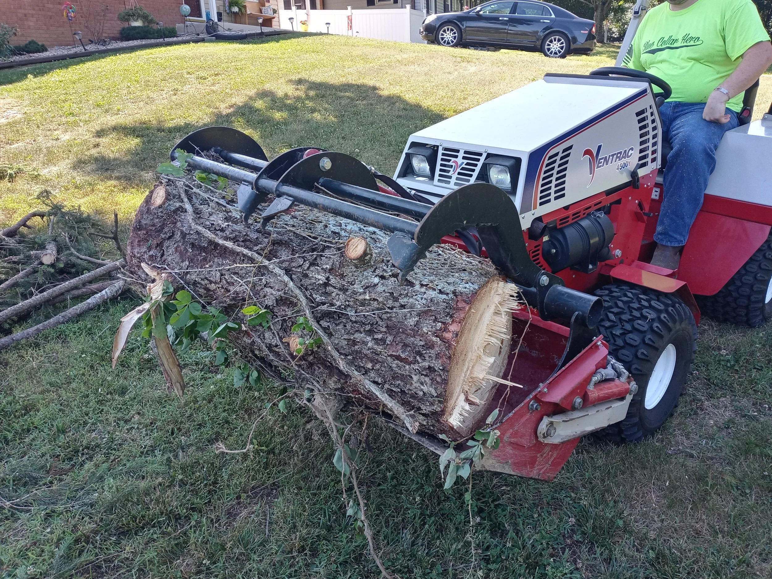 Brush removal, tree removal, brush cleanup