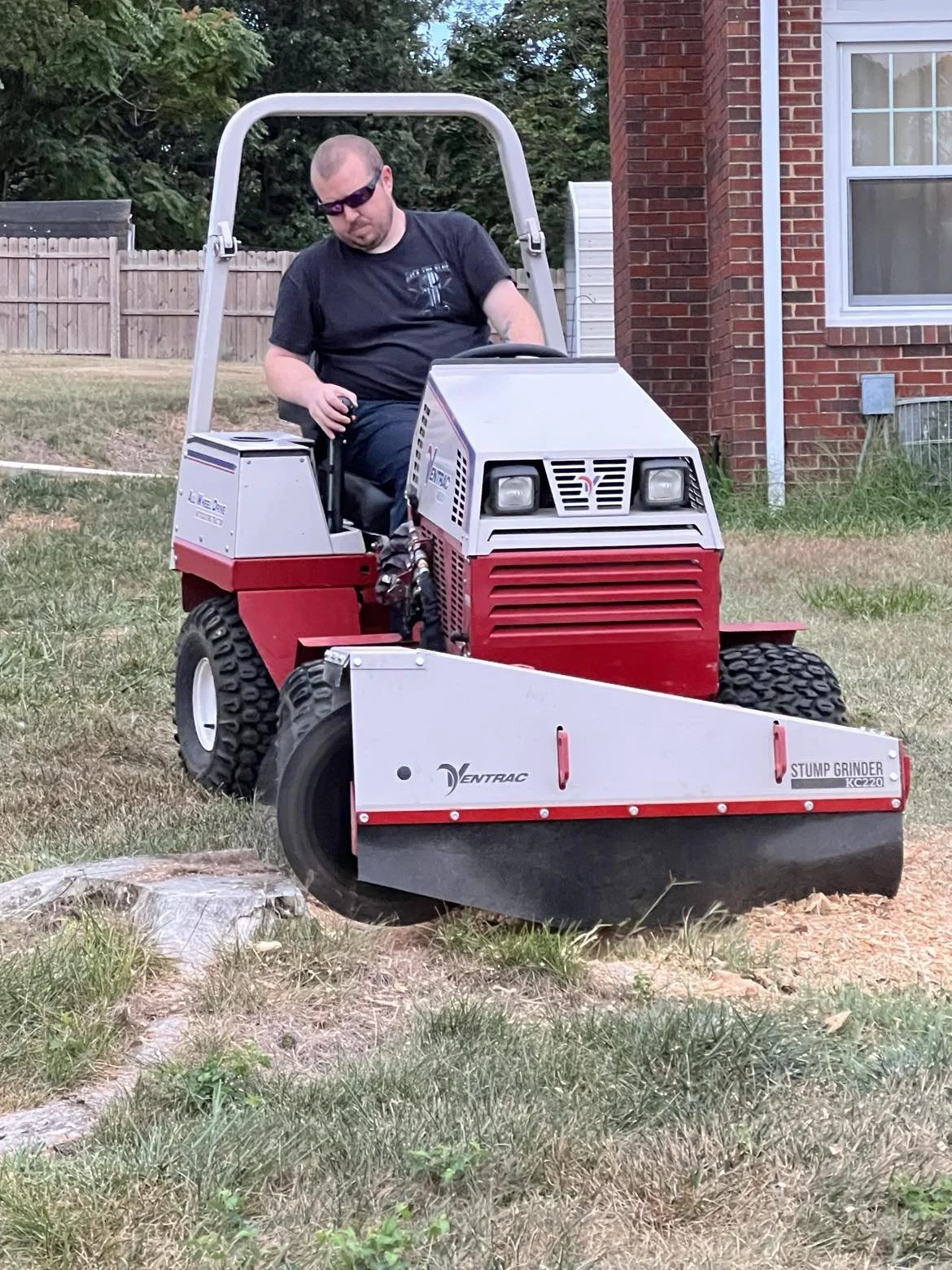 Stump grinding. stump removal