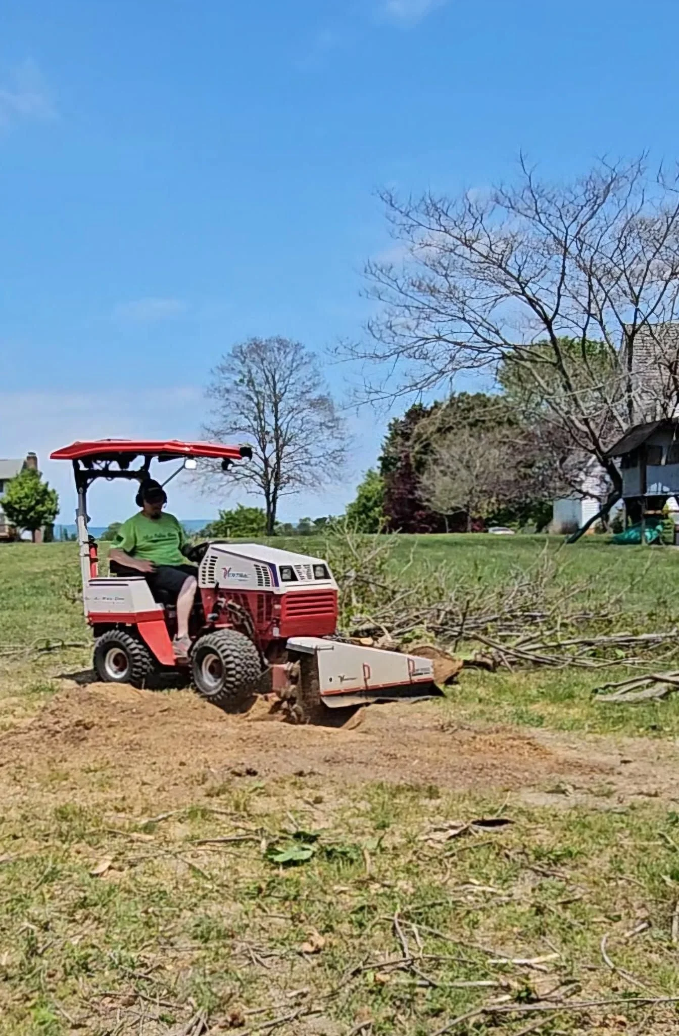 stump removal, stump grinding,