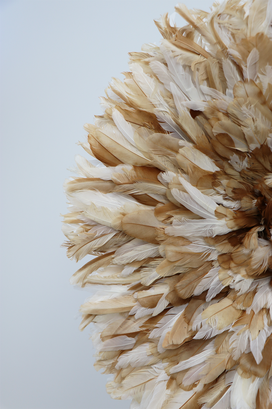 Un gros plan de plumes marron Juju Hat et blanches disposées en motif circulaire sur un fond clair.