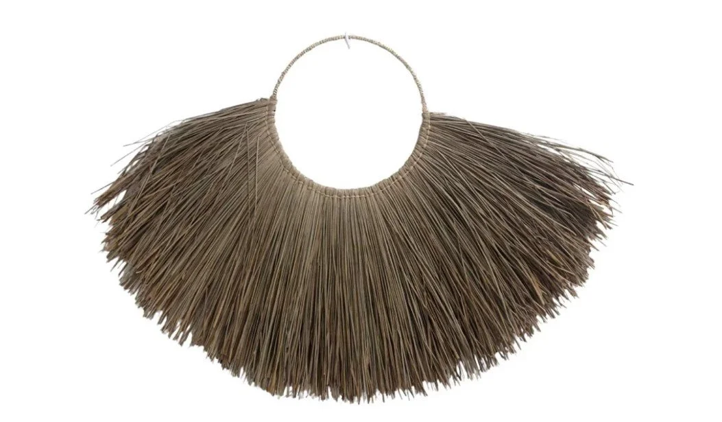 Capture d’écran 2026-04-13 182427.jpg