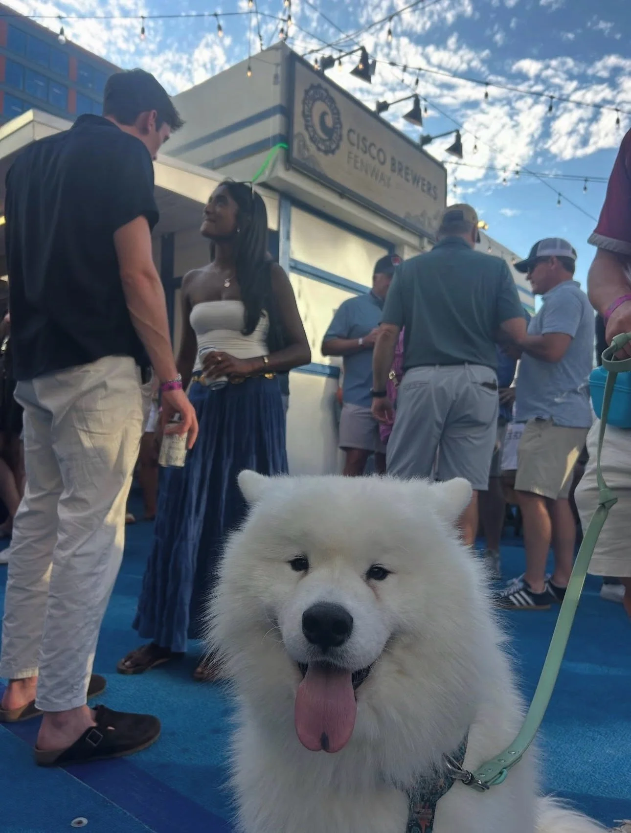 SUN&rsquo;S OUT TONGUES OUT!🤪

Live music all weekend long.🍻

#BostonSummer #Bostonweekend #BostonPatio #FenwayBoston