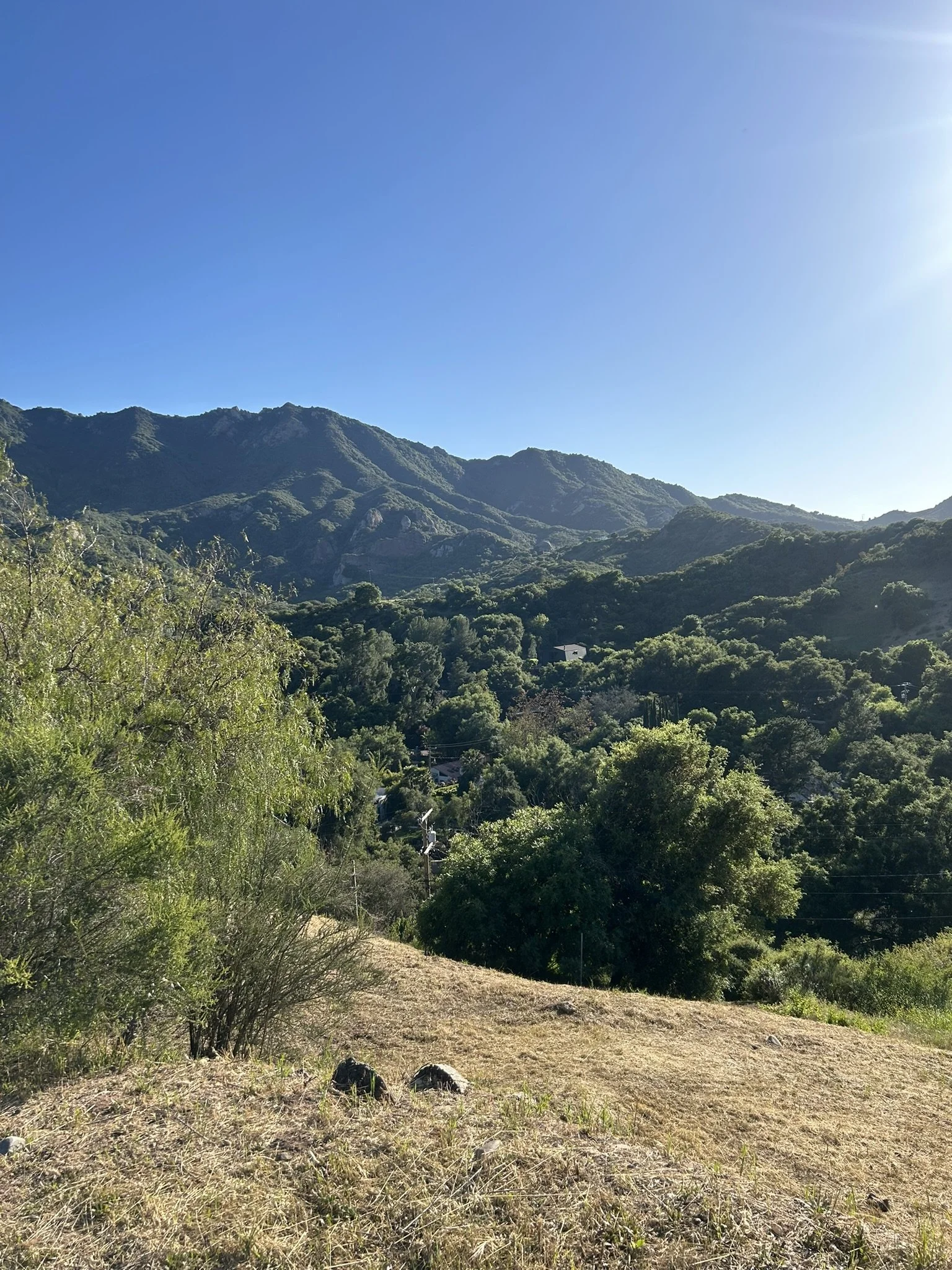 IMG_0128.JPEG