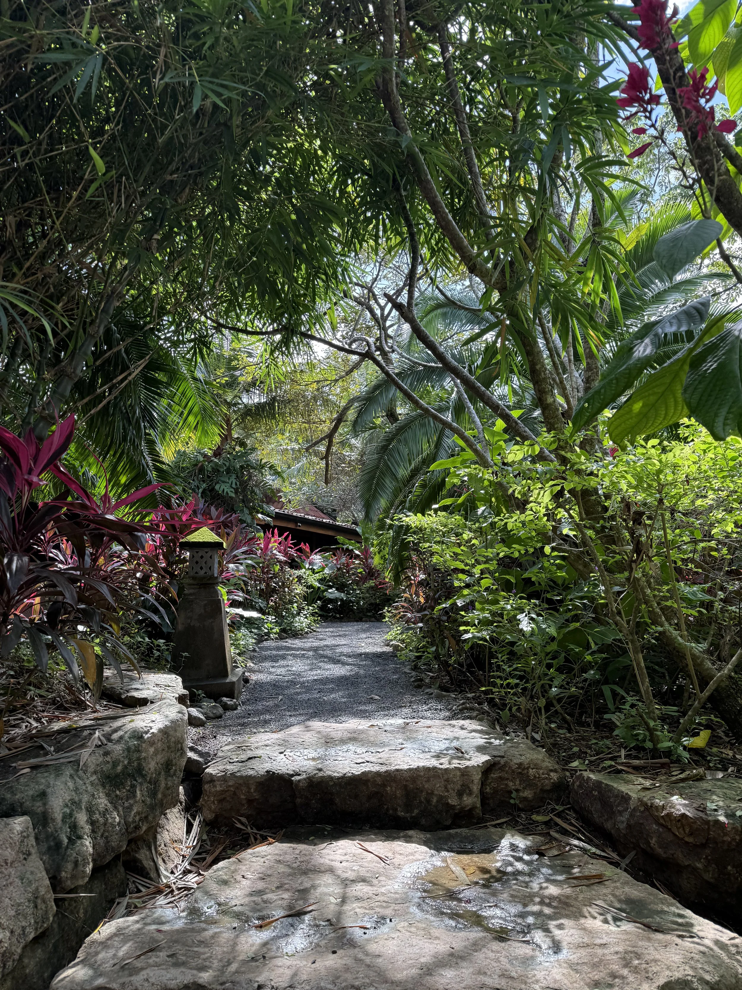 Letters from Costa Rica