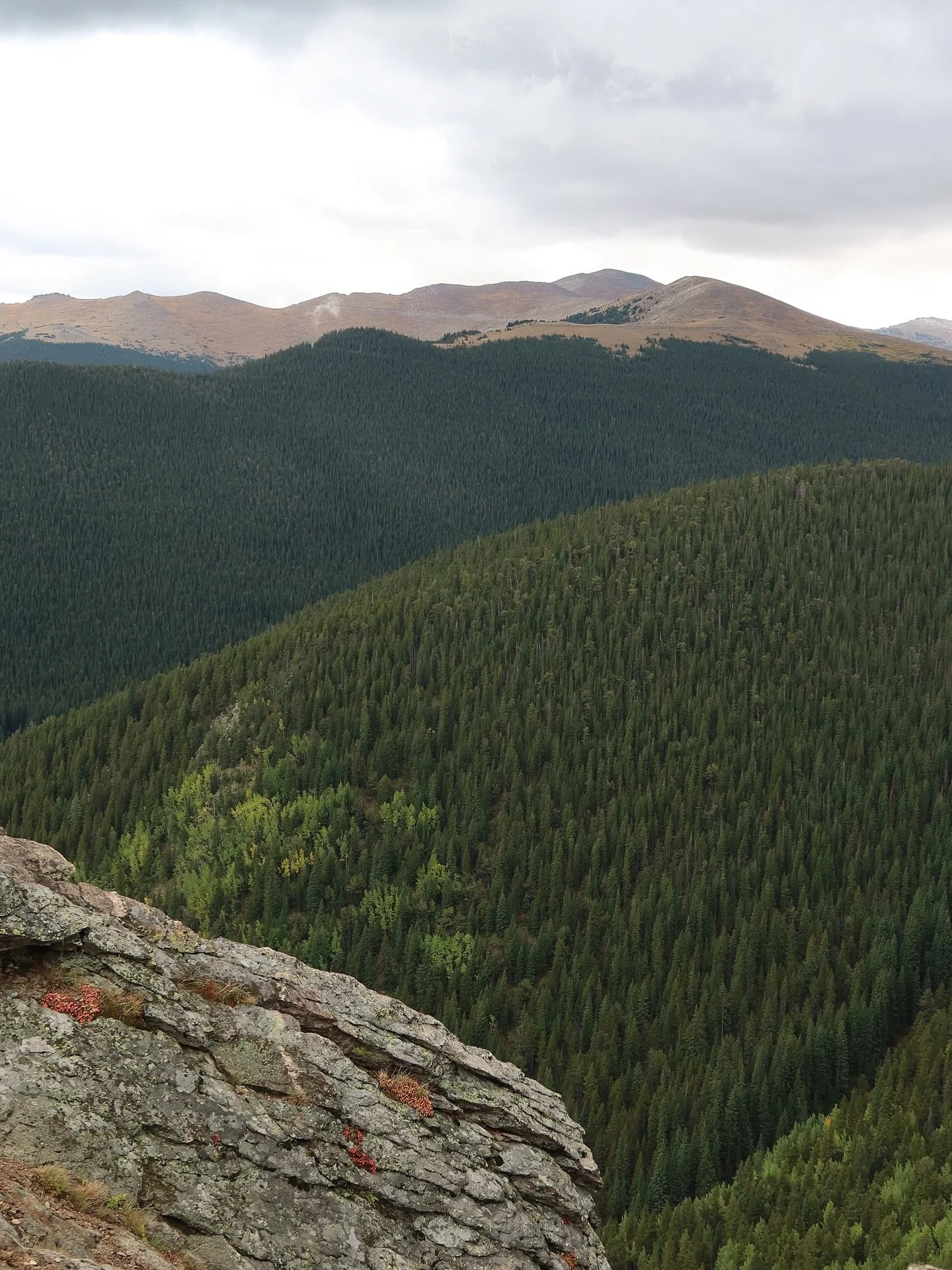 turns out all i needed was a good scream from the top of a mountain ⛰️🧚🏼🌳🦦