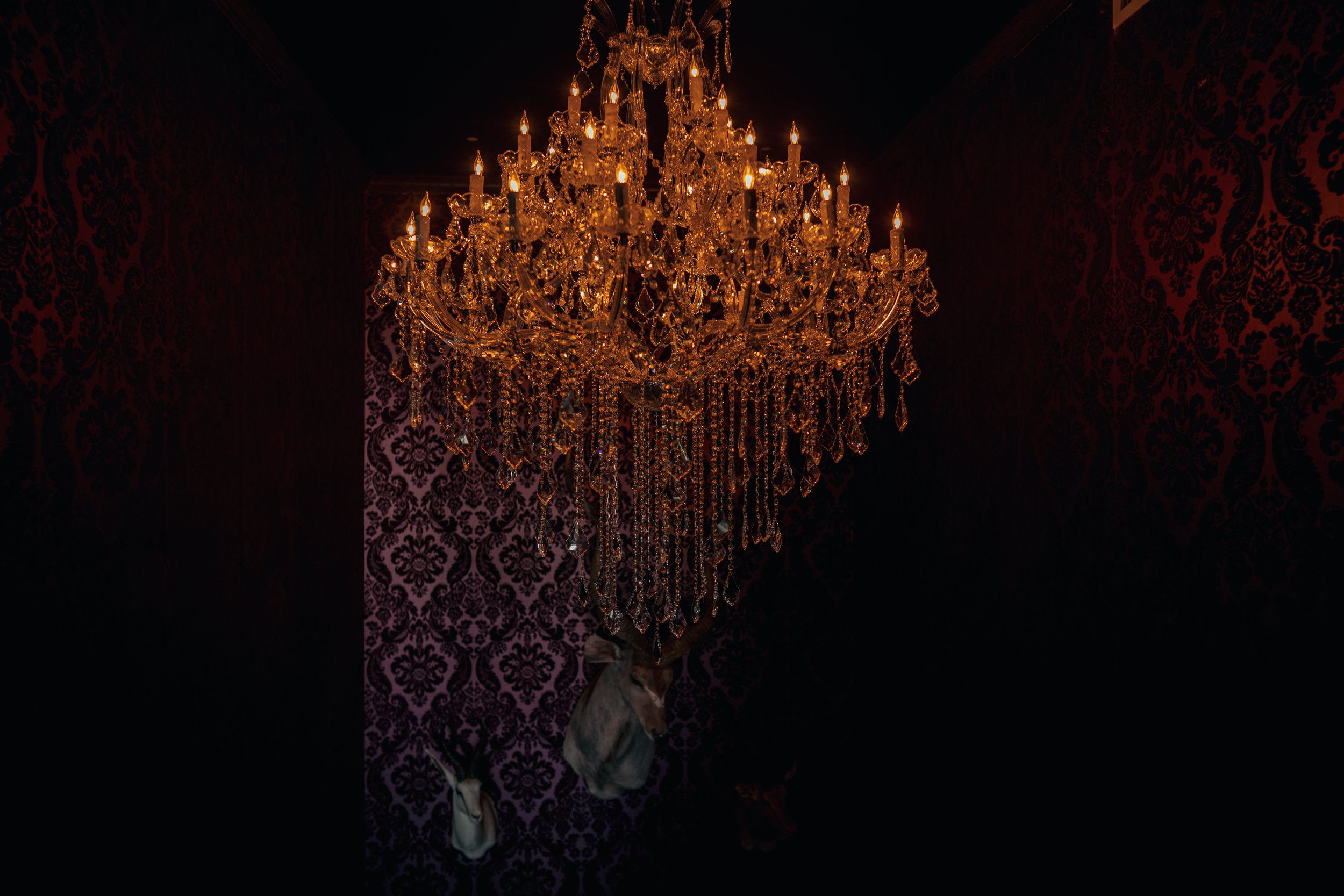 Decor in Atlas Heights