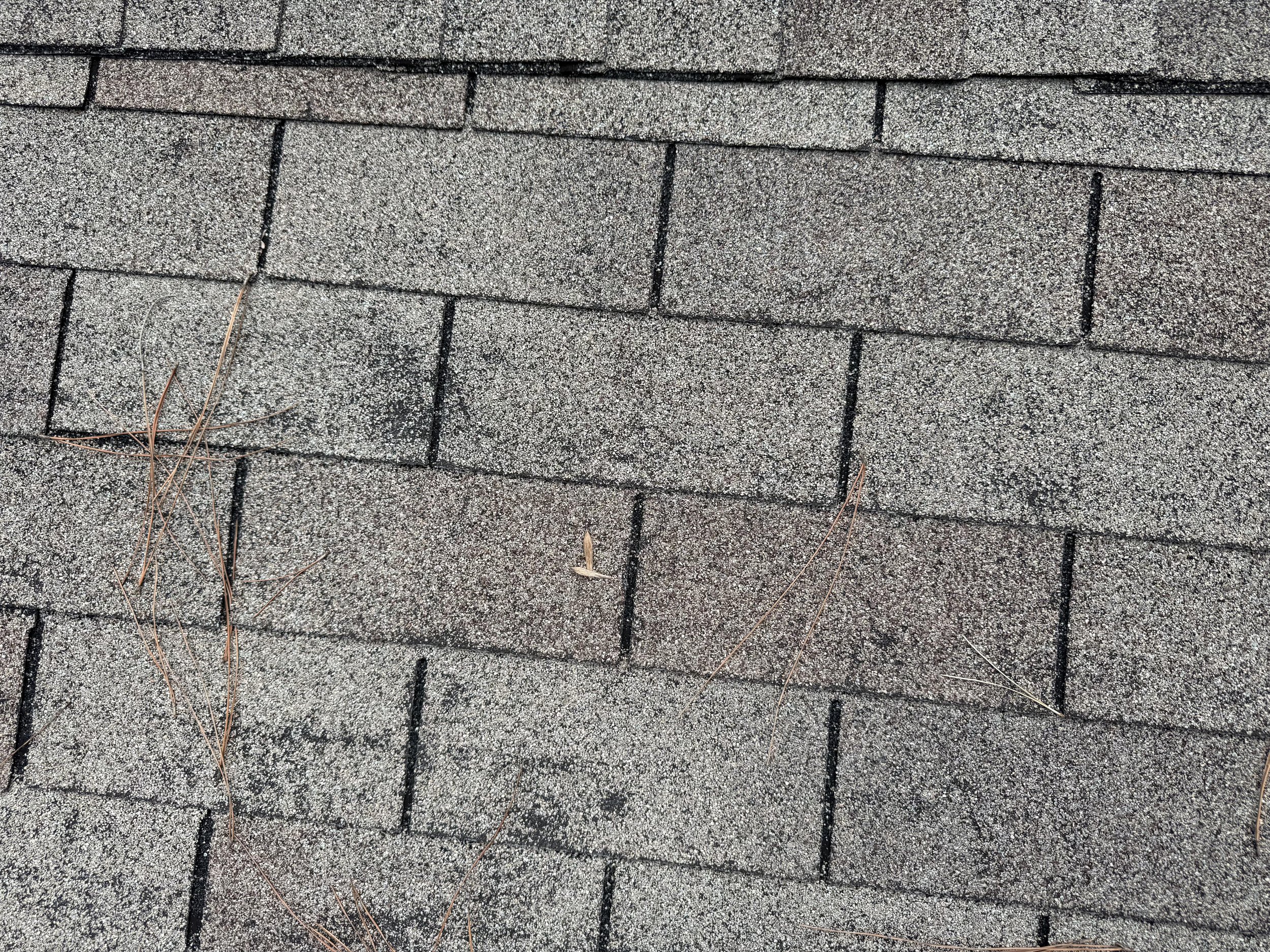 Hail damage on shingles