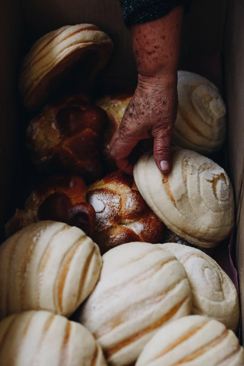 BAN_Oaxaca_2019_Web-4247.jpg
