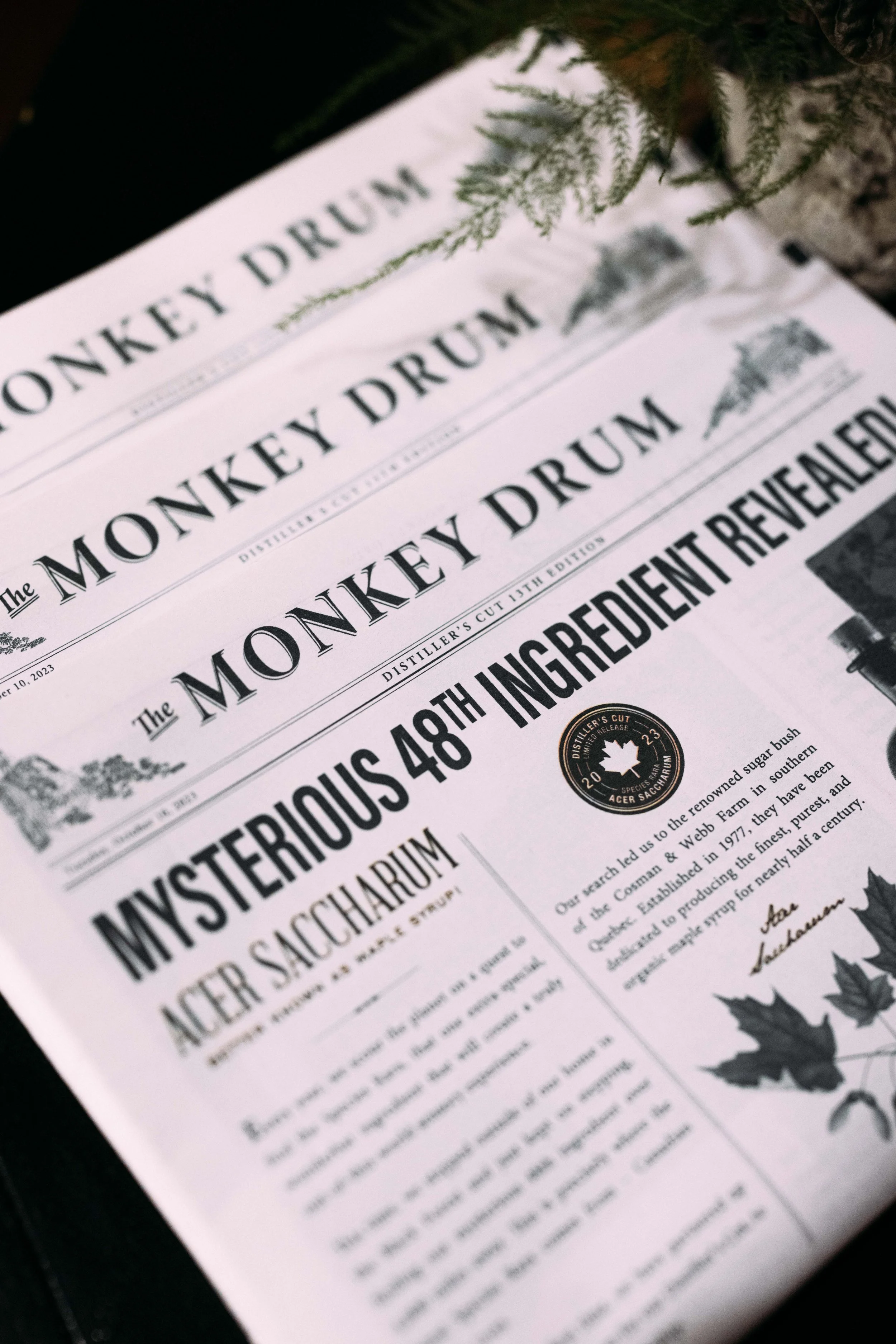 JS-Monkey47-87.jpg