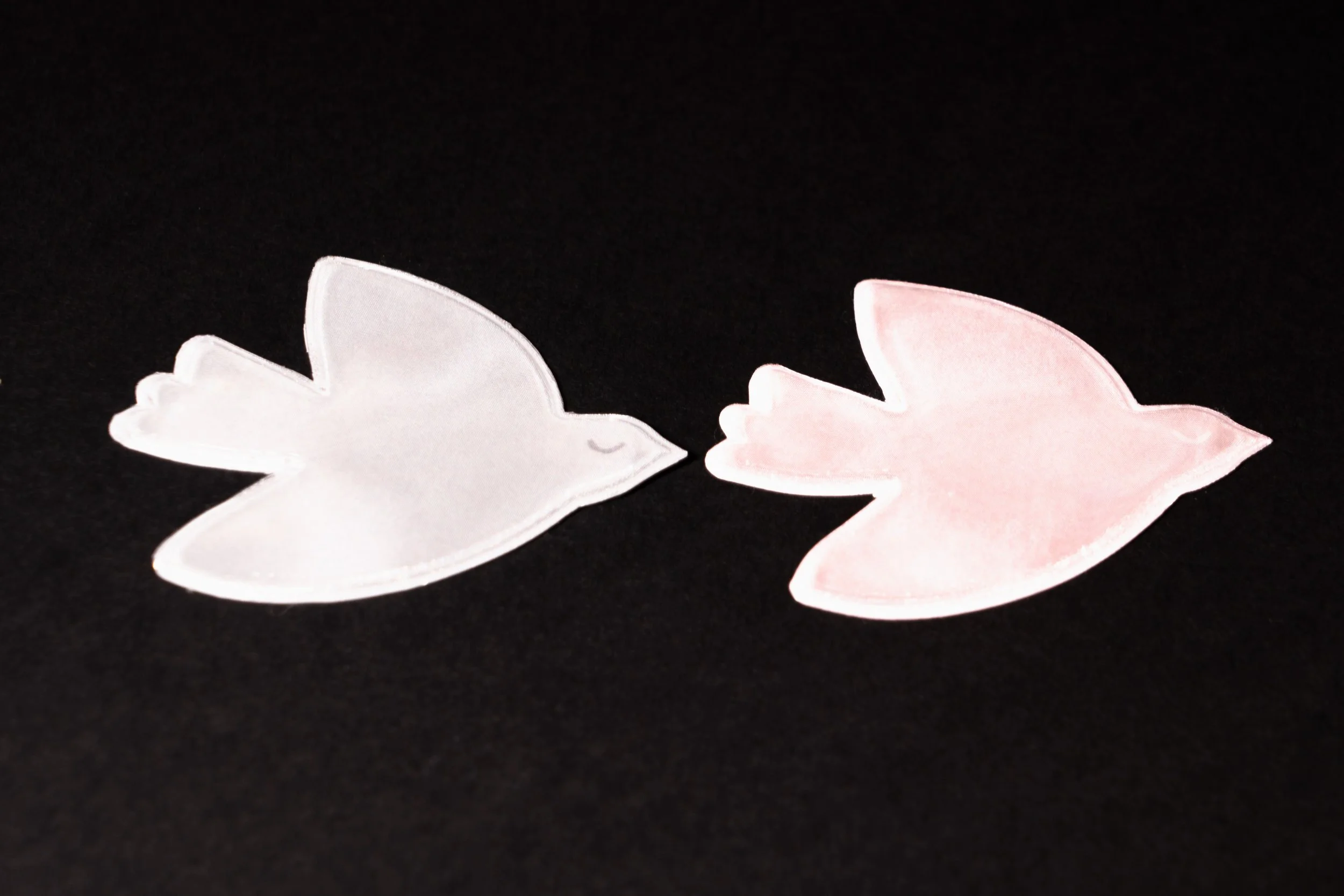 Stickers Bird copy.jpg