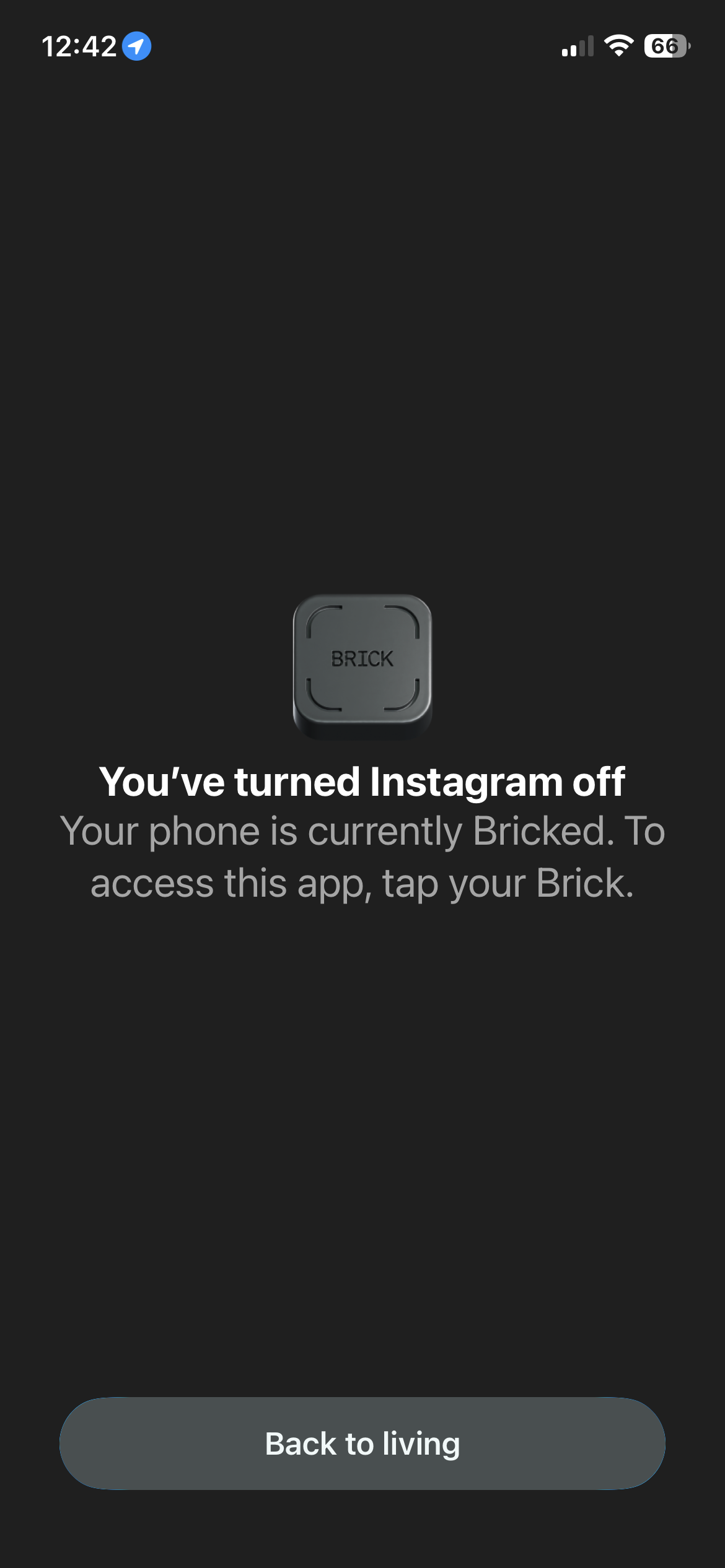 Reducing Screen Time with Brick