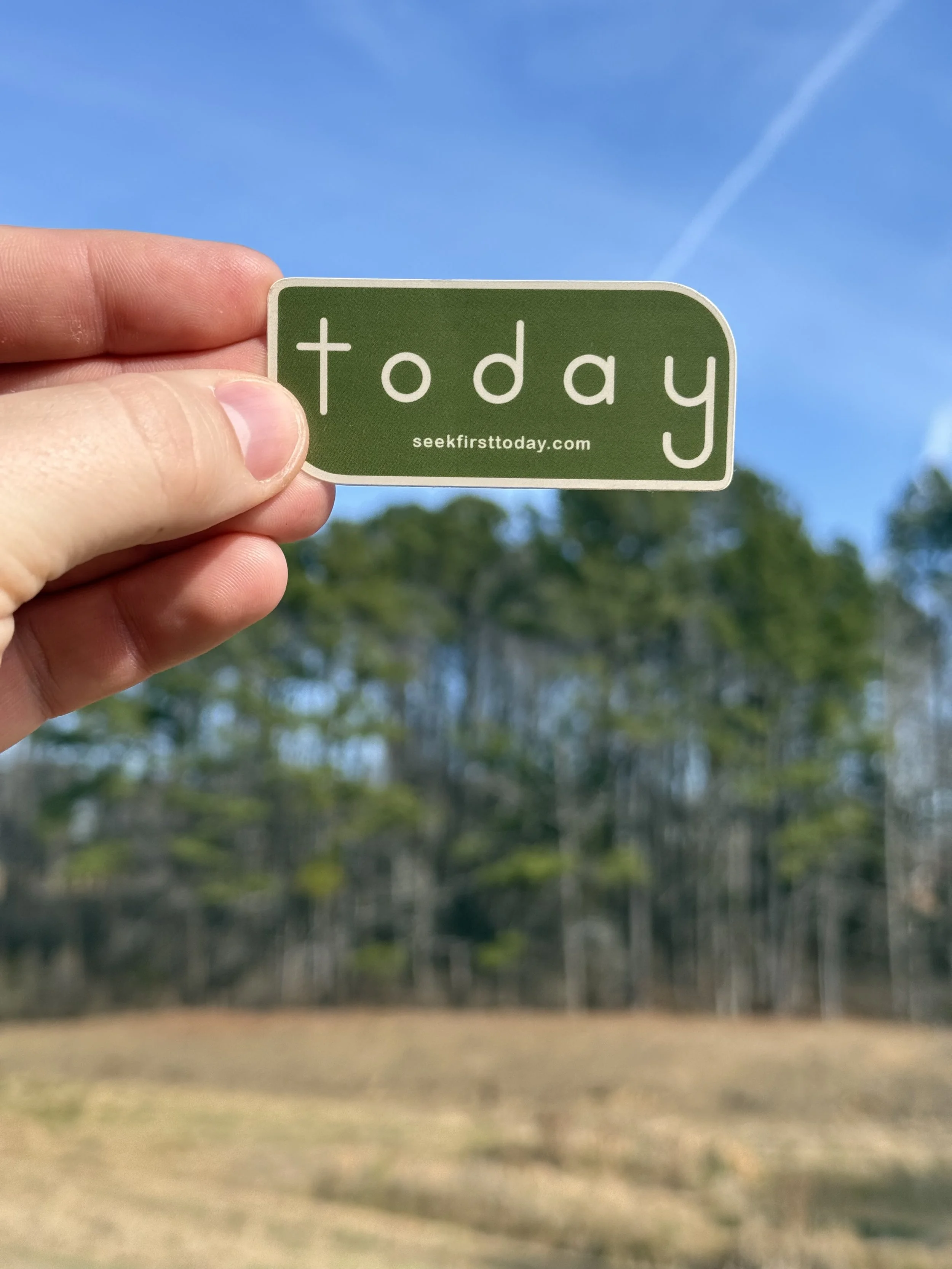 olive-and-sand-seek-first-today-sticker-with-trees-and-blue-sky-in-background