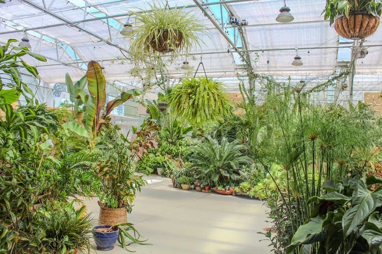 Greenhouse+Cafe-3.jpg