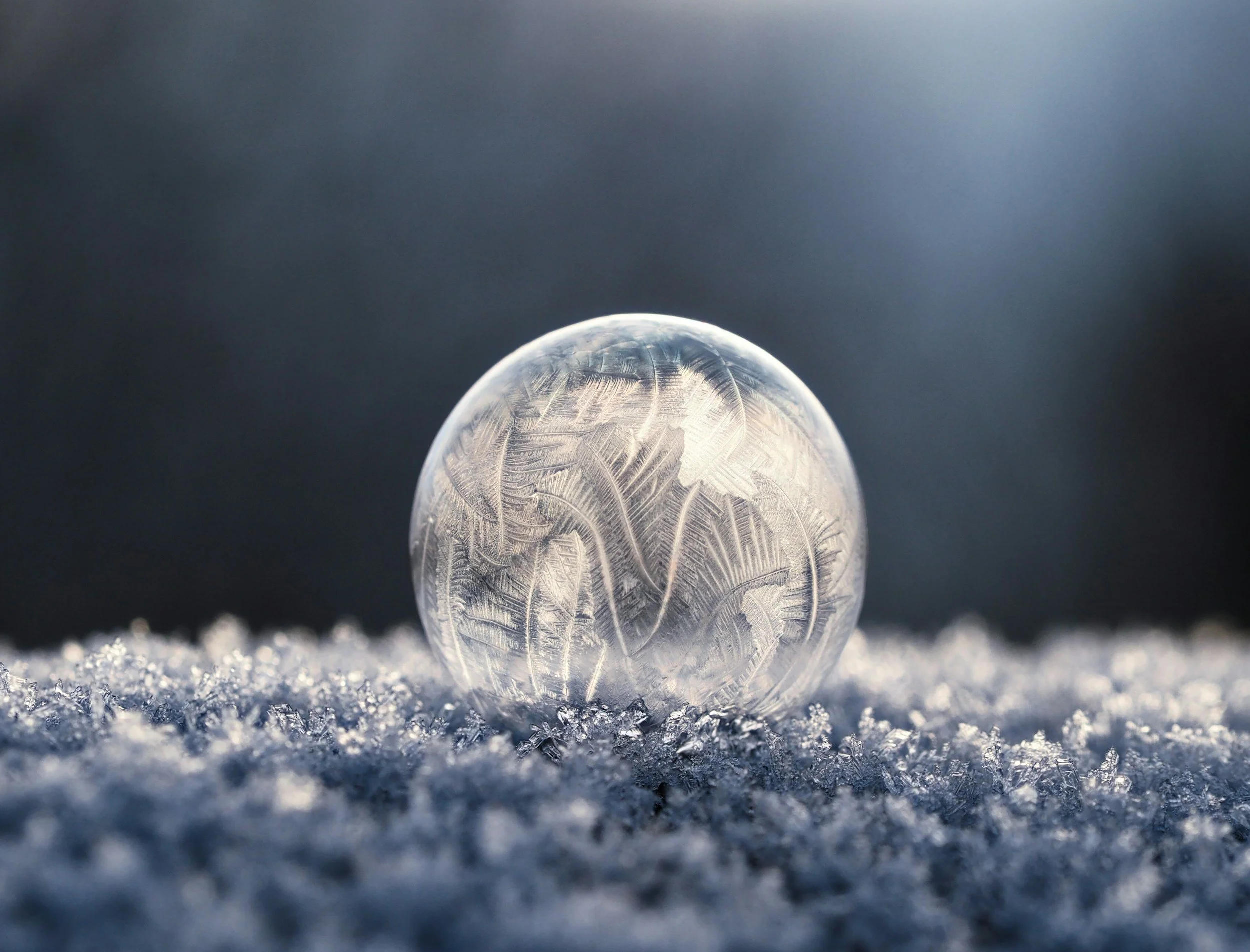 Rest to Rise: An Online Winter Circle for Women