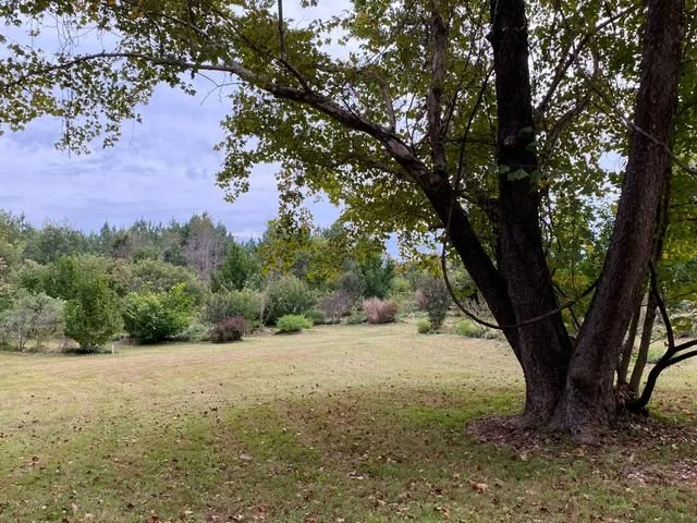 IMG_8959 (1)-640w.JPG