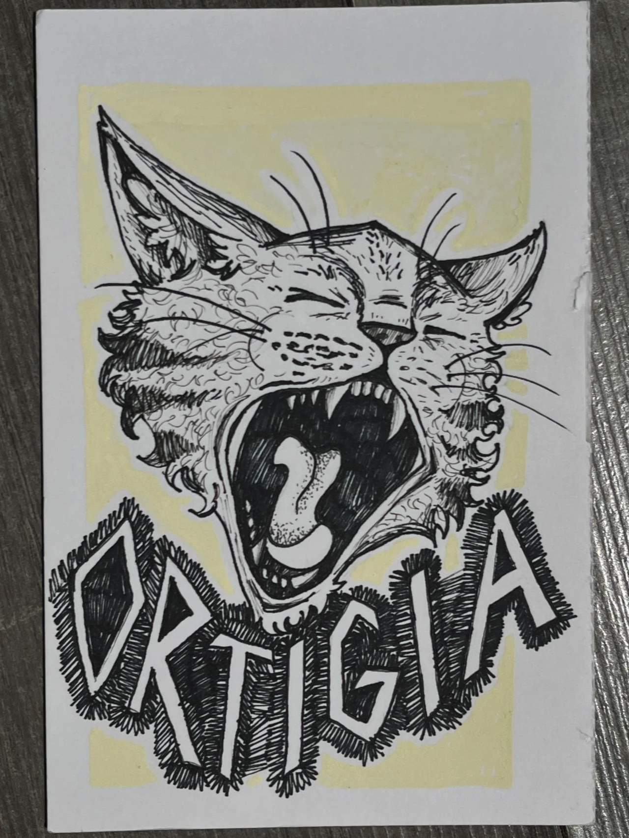 ortigia postcard : microns and marker