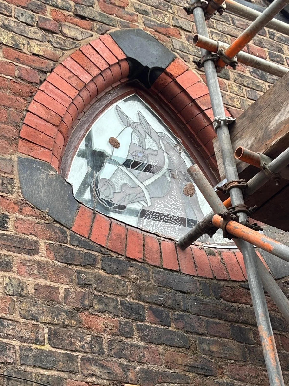 WhatsApp Image 2026-02-05 at 08.53.51 (6).jpeg