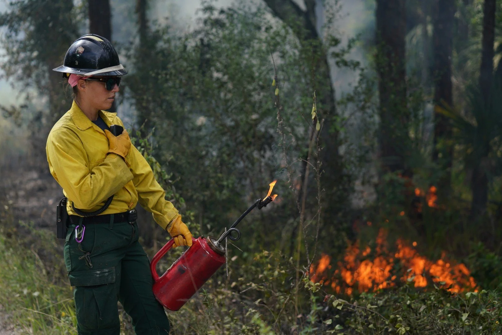 Fire Management