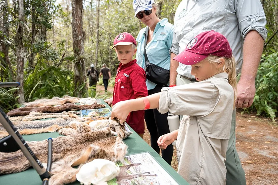 A woman and two children at an outdoor educational exhibit in a forest, examining animal furs and skulls laid out on a green table.