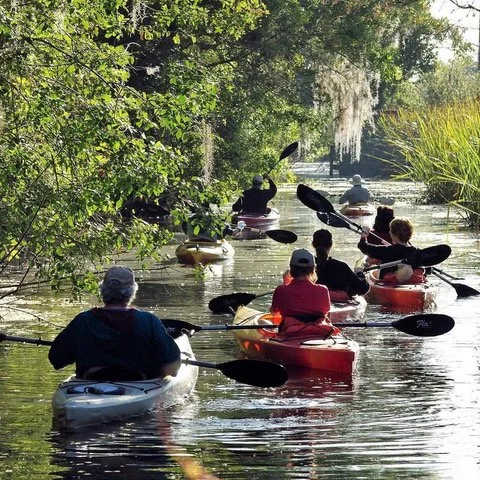 Group of people kayaking on a calm waterway surrounded by lush greenery.