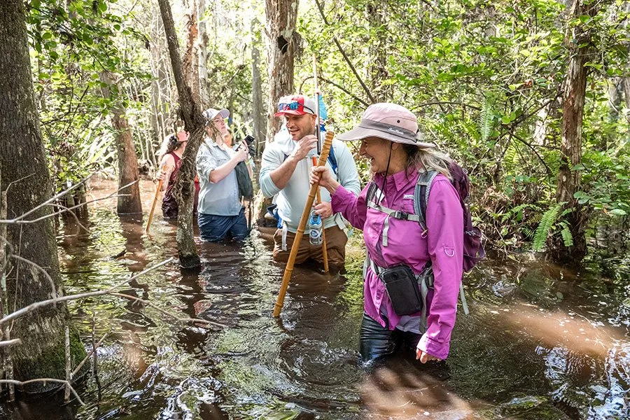 Group of five people hiking through a flooded forest, wading through water amongst trees, some smiling and talking.