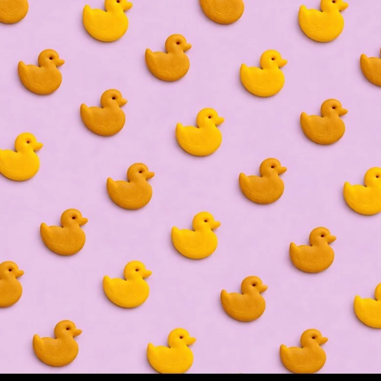 Once upon a pond&hellip;.
#clean #snacks #grahamquackers #cheddarducks
