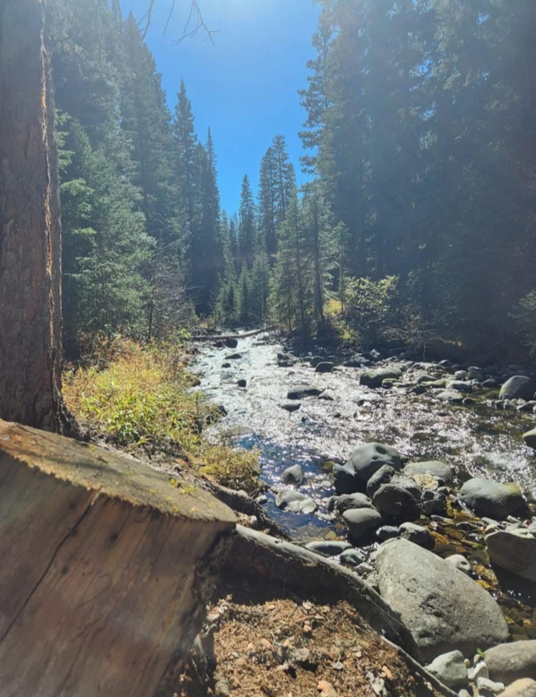 stream.jpg