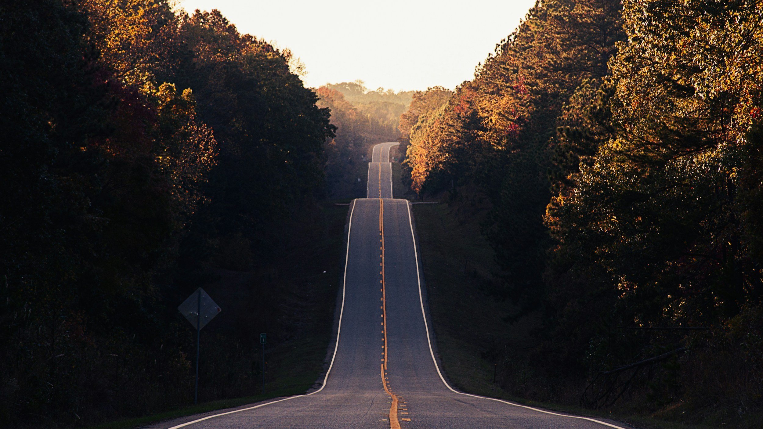 Resilience: How to Stay Sane When Life Goes Off-Script