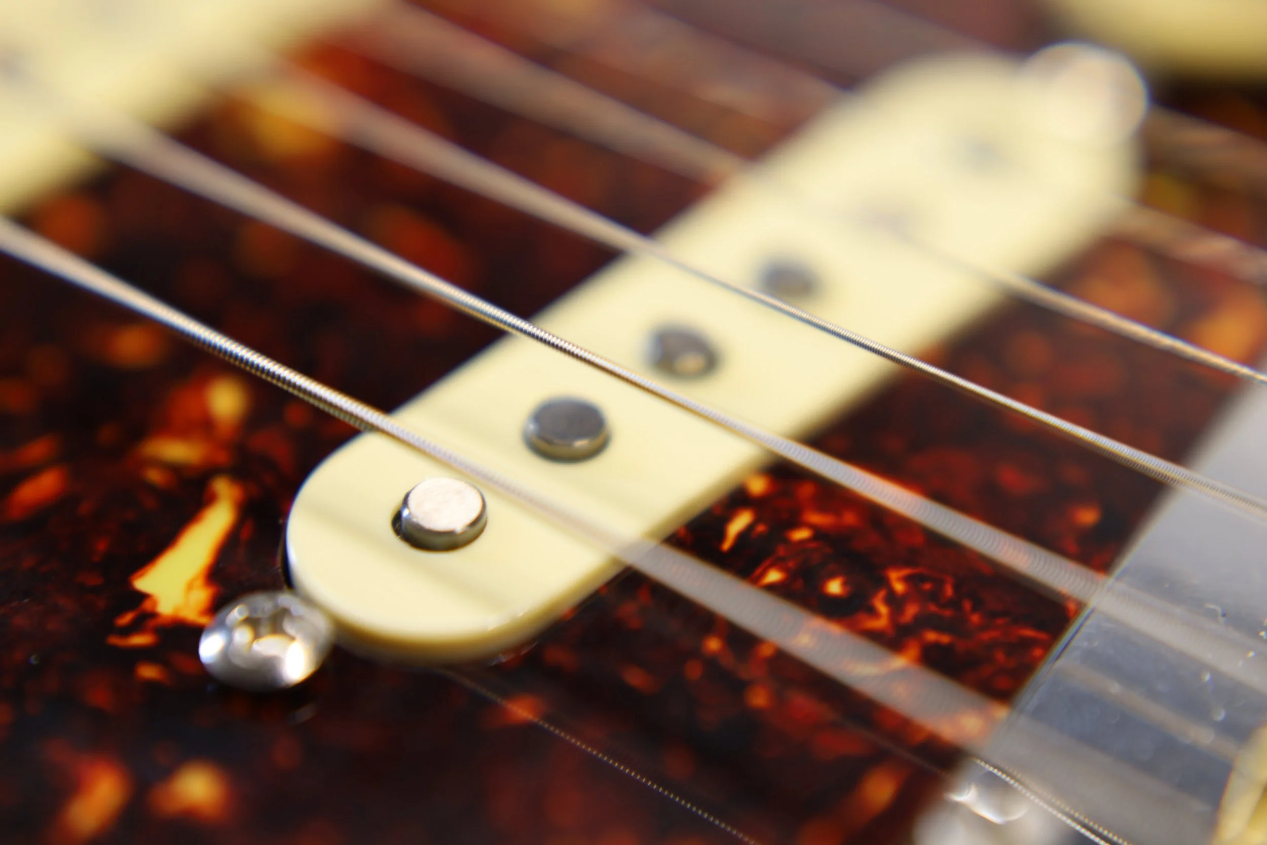 True SRV Custom Pickup Set 59'