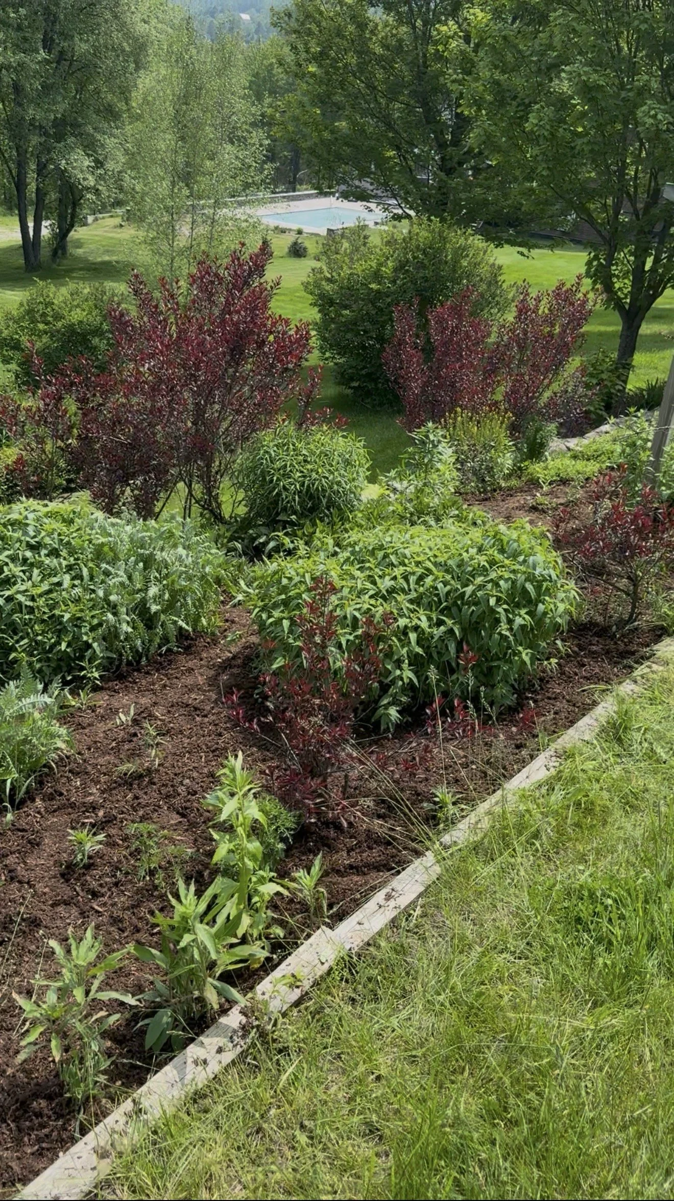 When Is the Best Time to Mulch in Vermont?