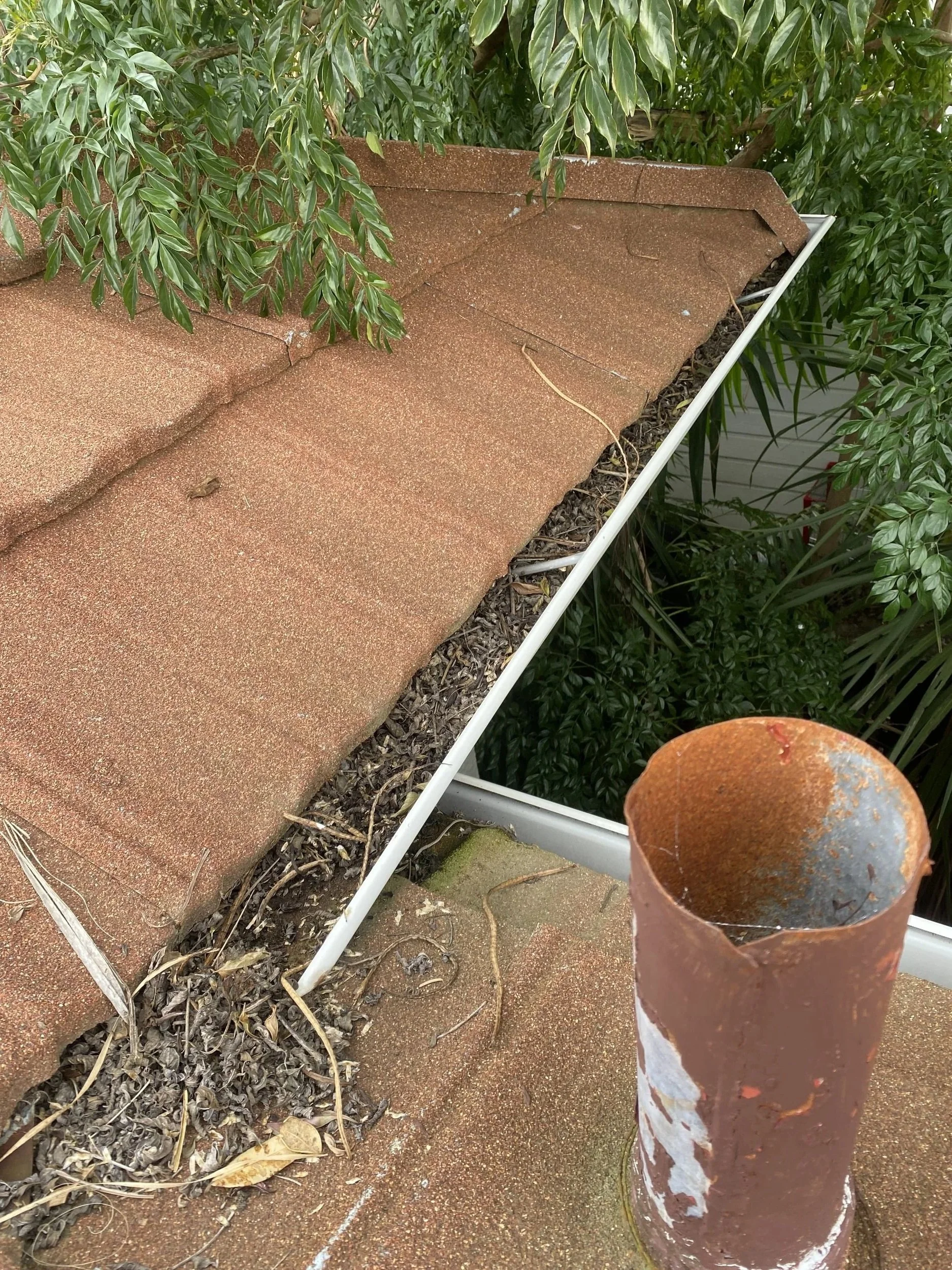 Gutter cleaning Tauranga