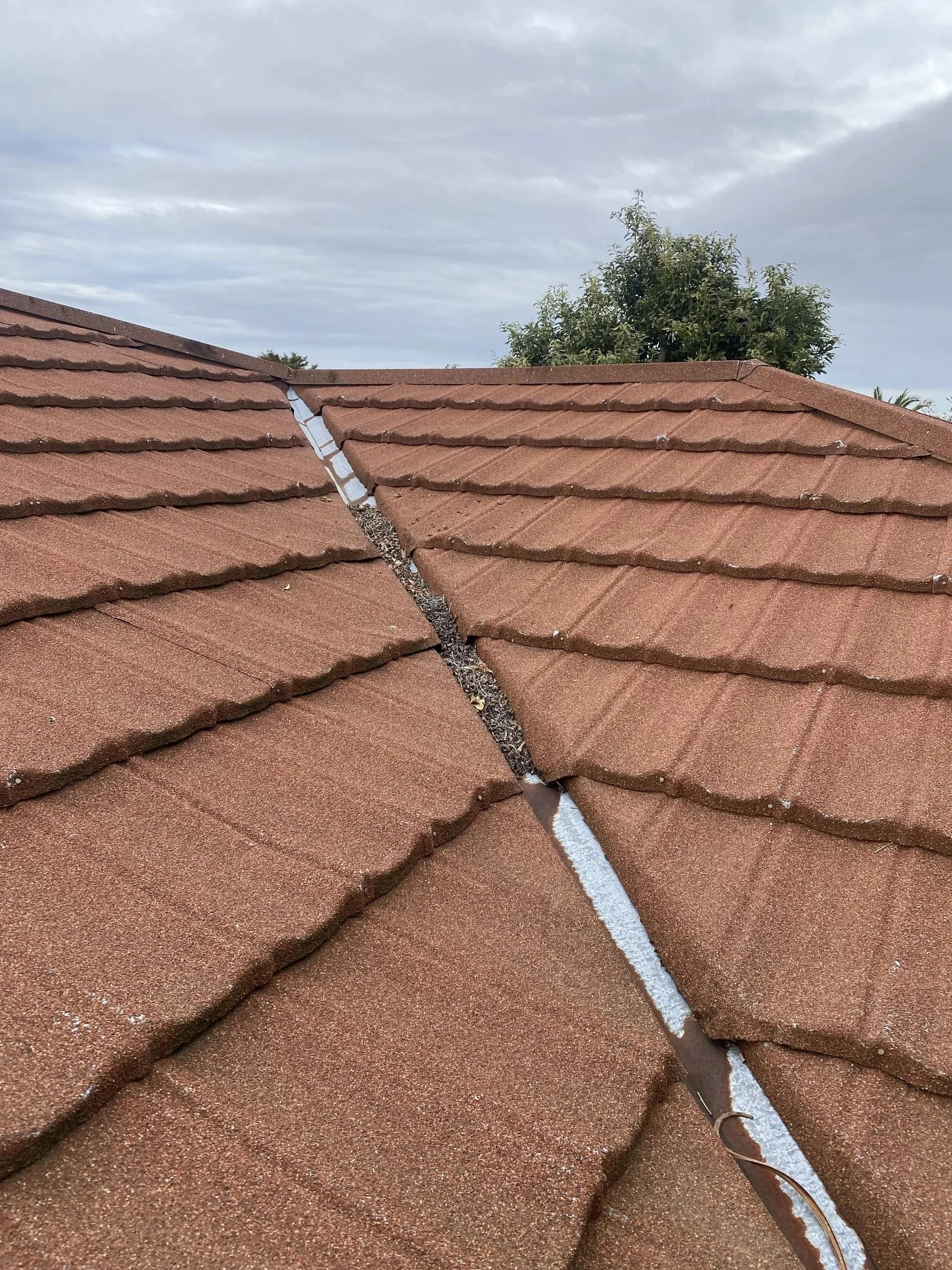 Gutter cleaning 