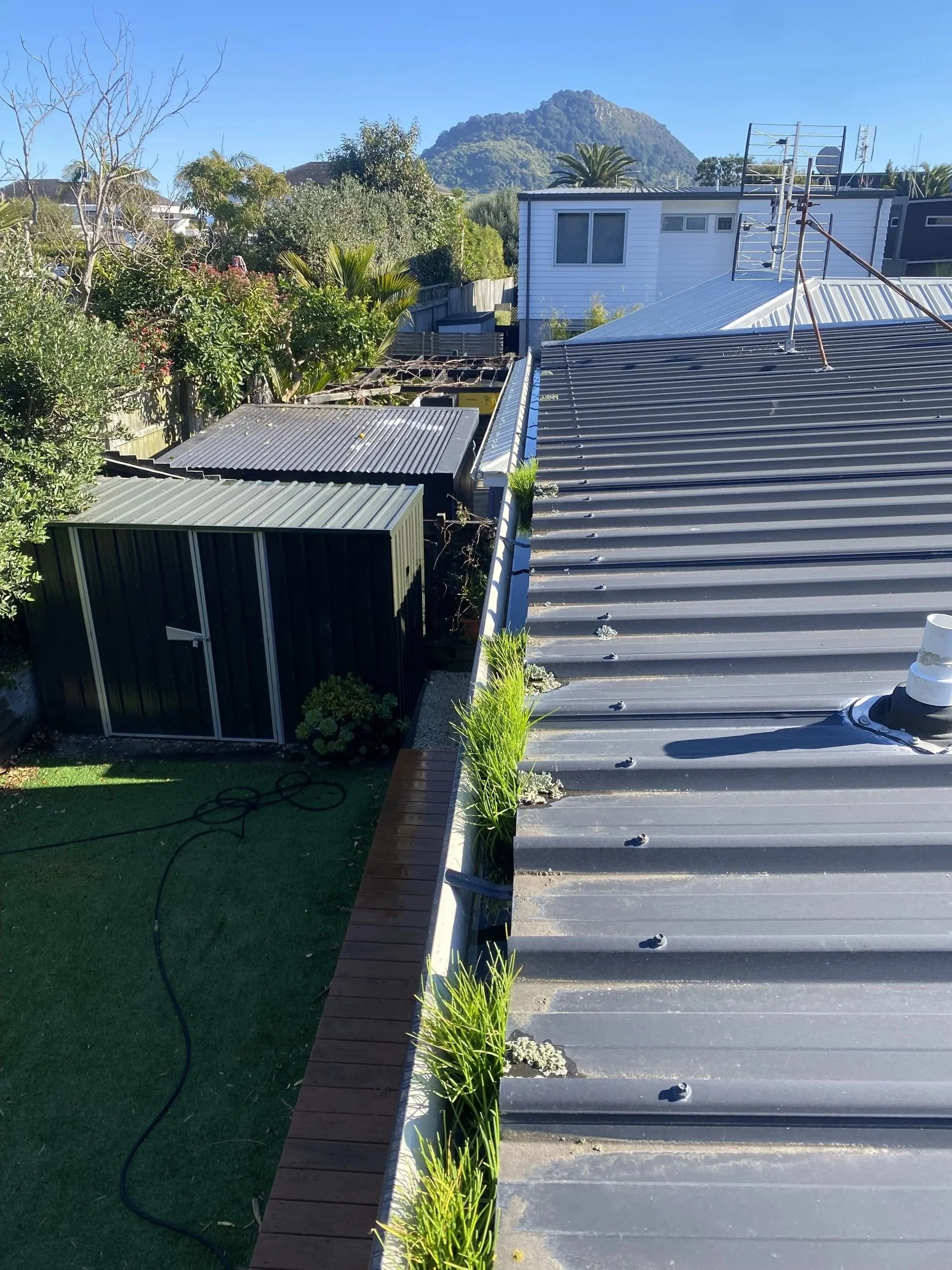 Gutter cleaning 