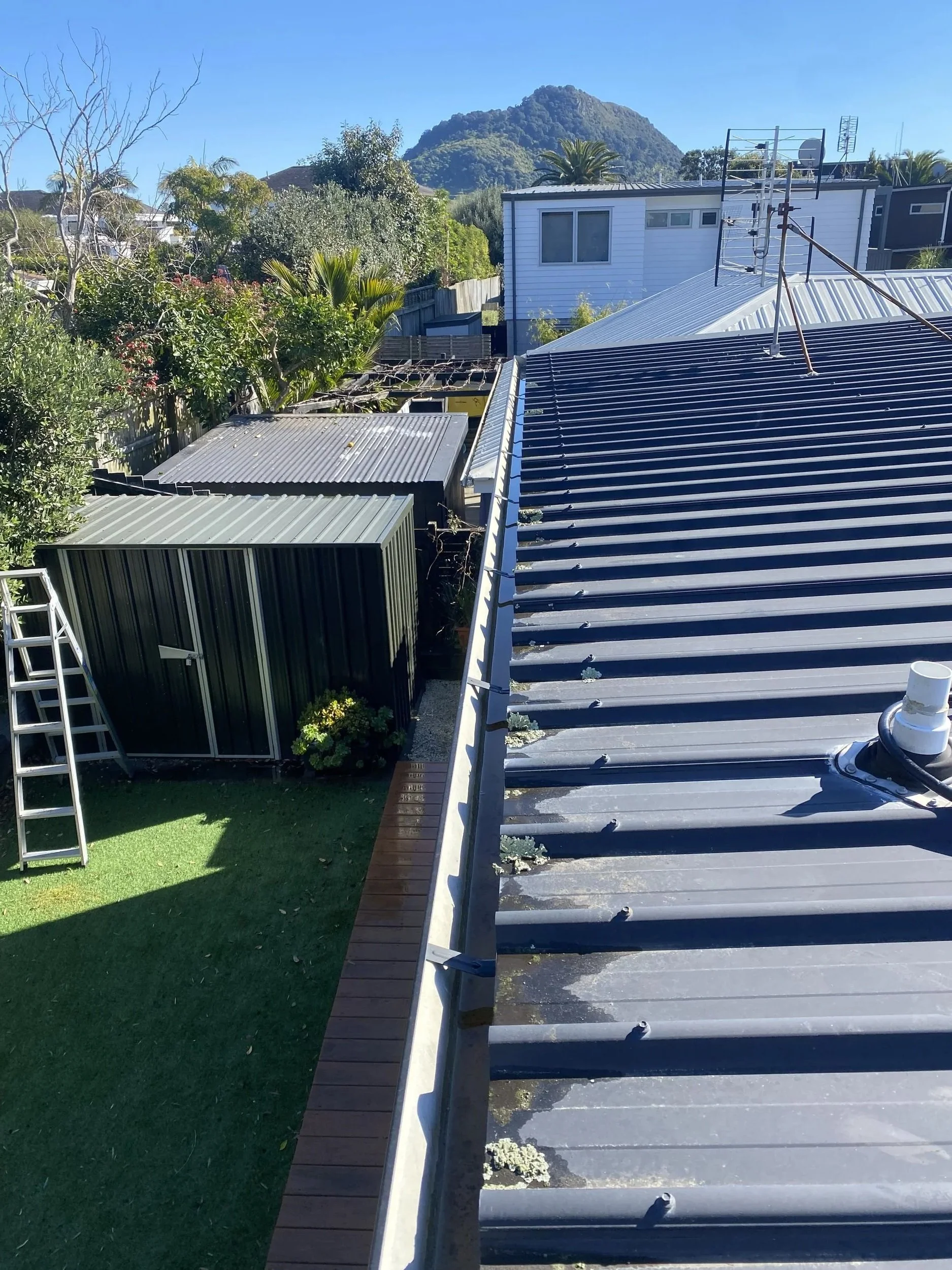 Gutter cleaning 