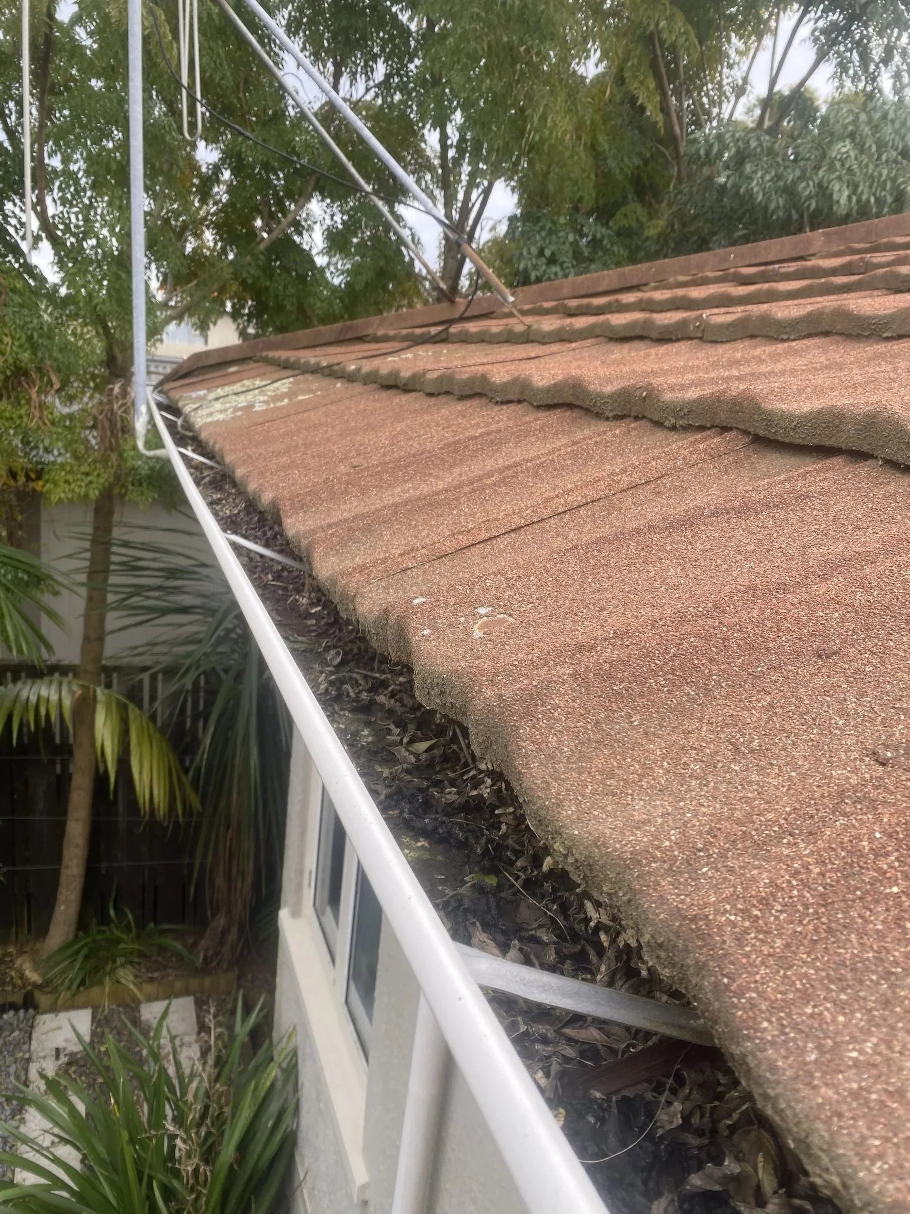 Gutter cleaning 