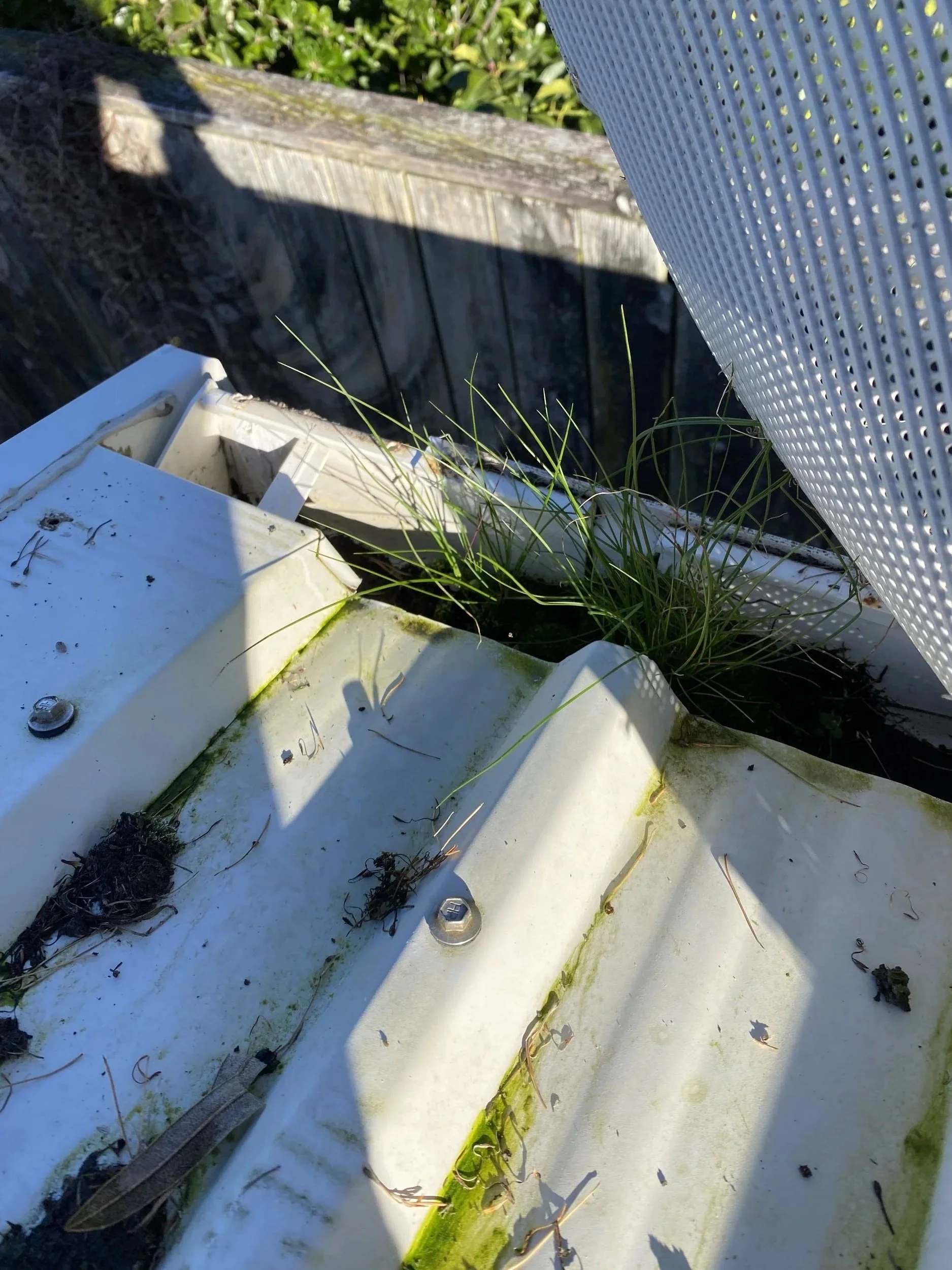 Gutter cleaning 