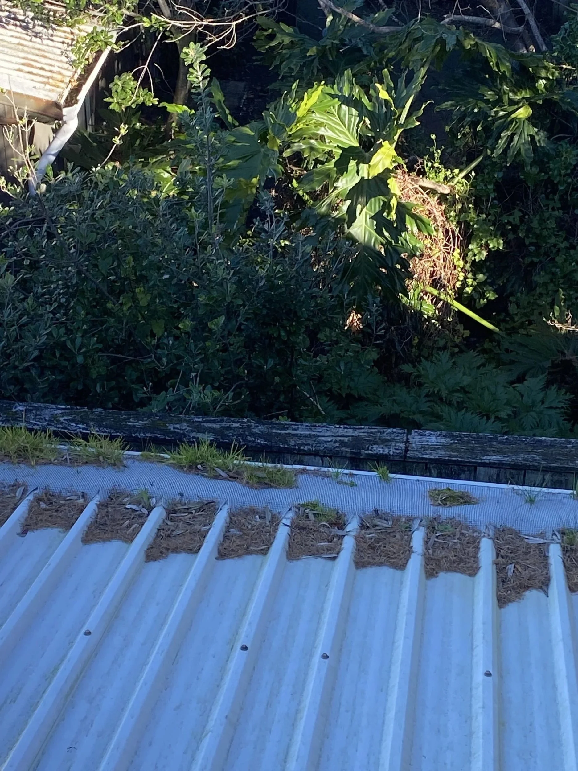 Gutter cleaning 