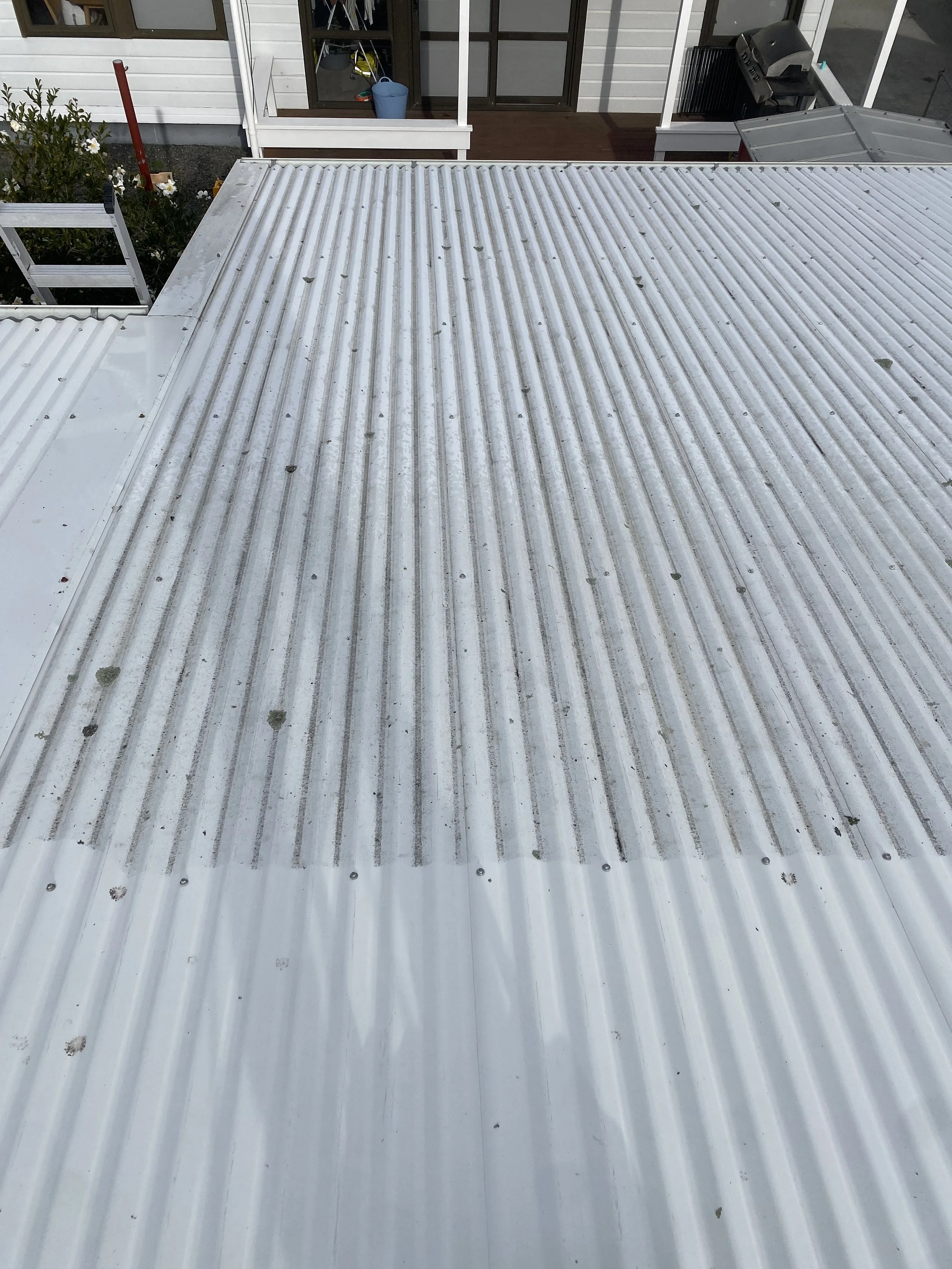 roof washing 