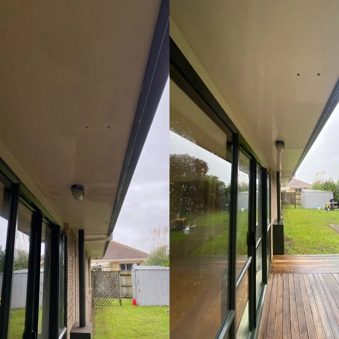 b4 and after softwash 2.jpg