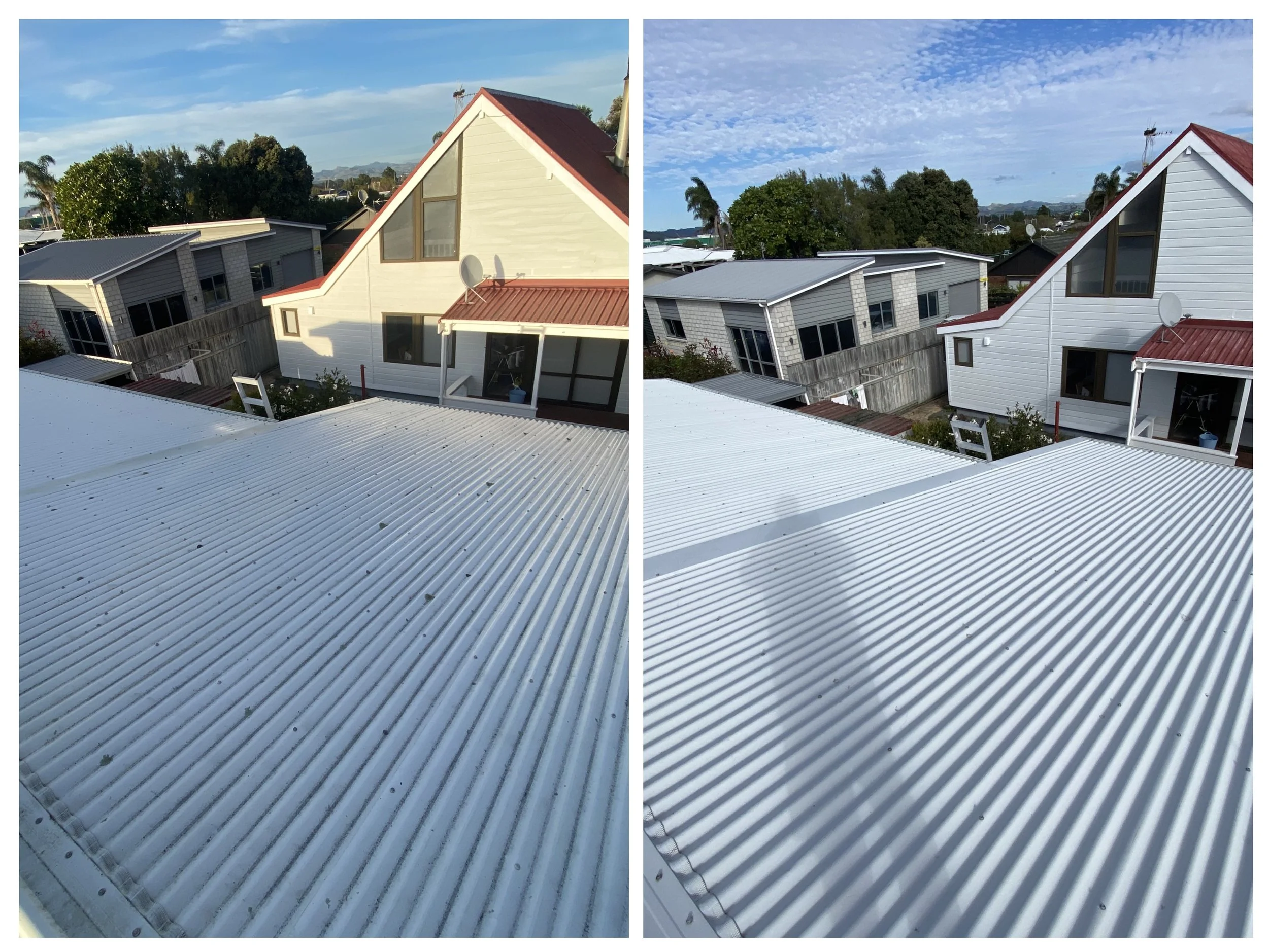 roof wash moss and mould clean