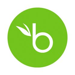 Bambook2.png